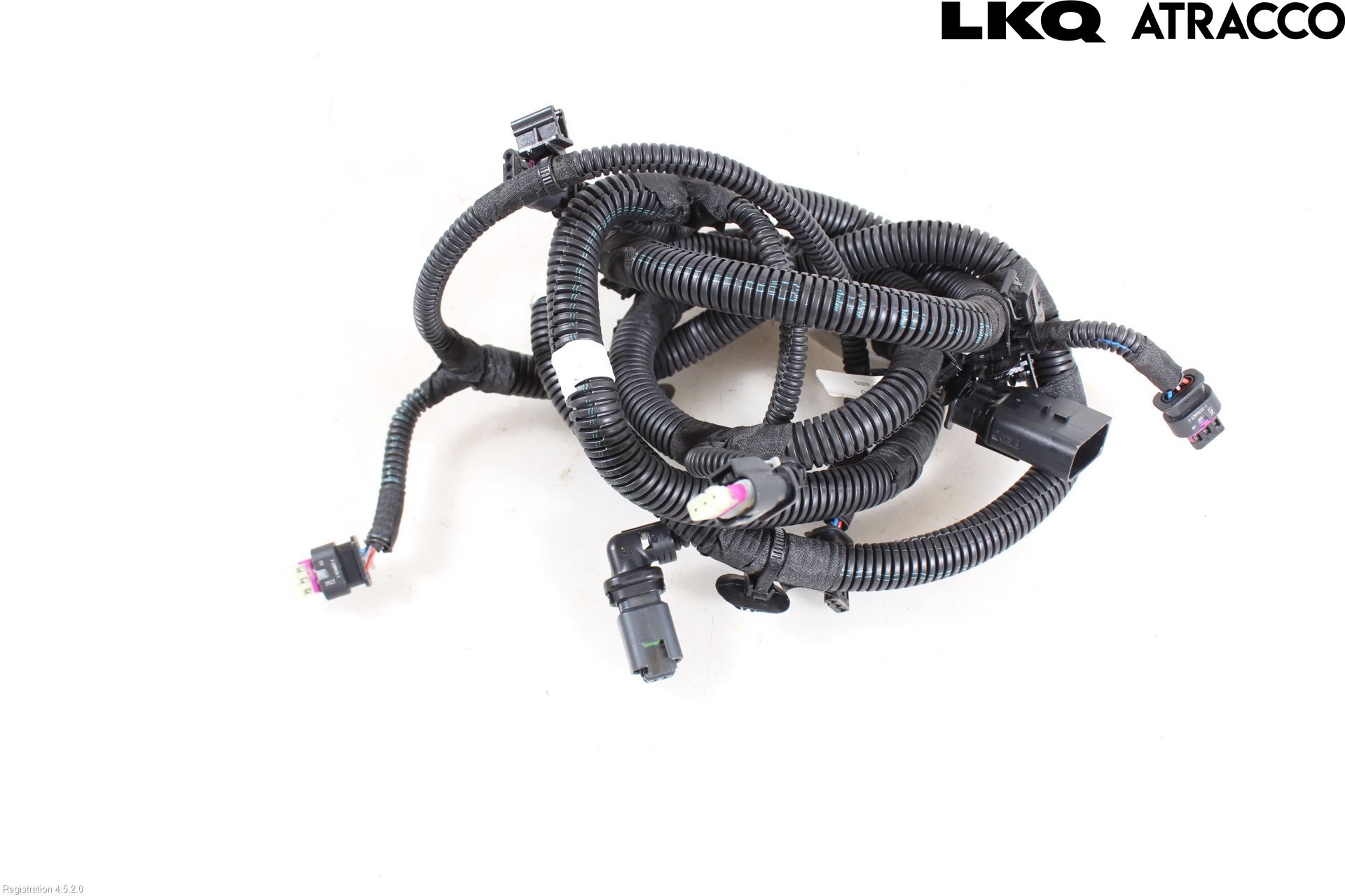 Citroen C4/E-C4 C4X/E-C4X III 21- Kabelhärva