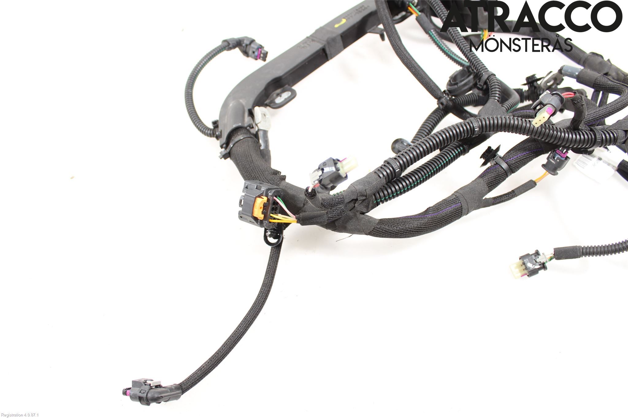 Citroen C4/E-C4 C4X/E-C4X III 21- Kabelhärva