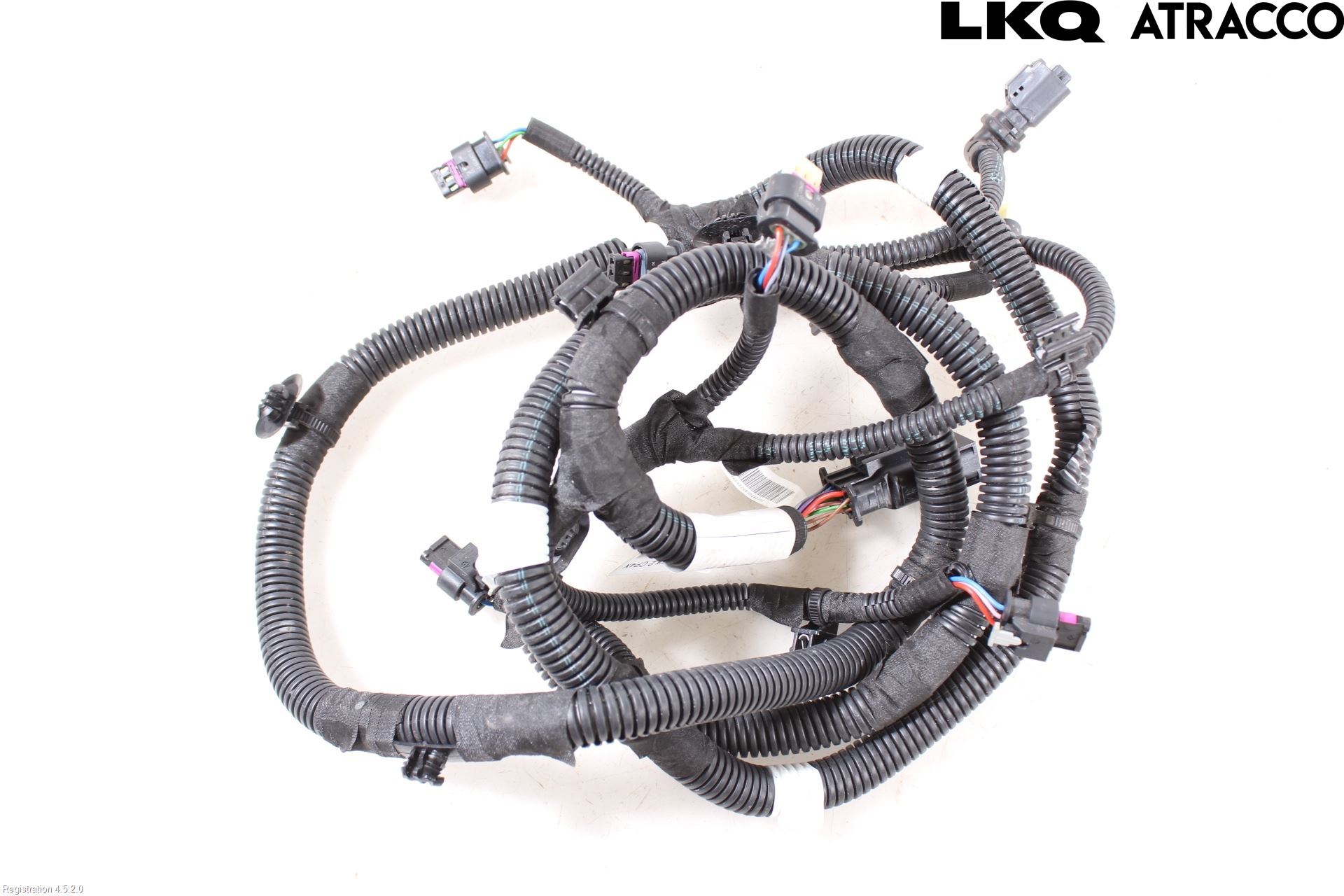 Citroen C4/E-C4 C4X/E-C4X III 21- Kabelhärva