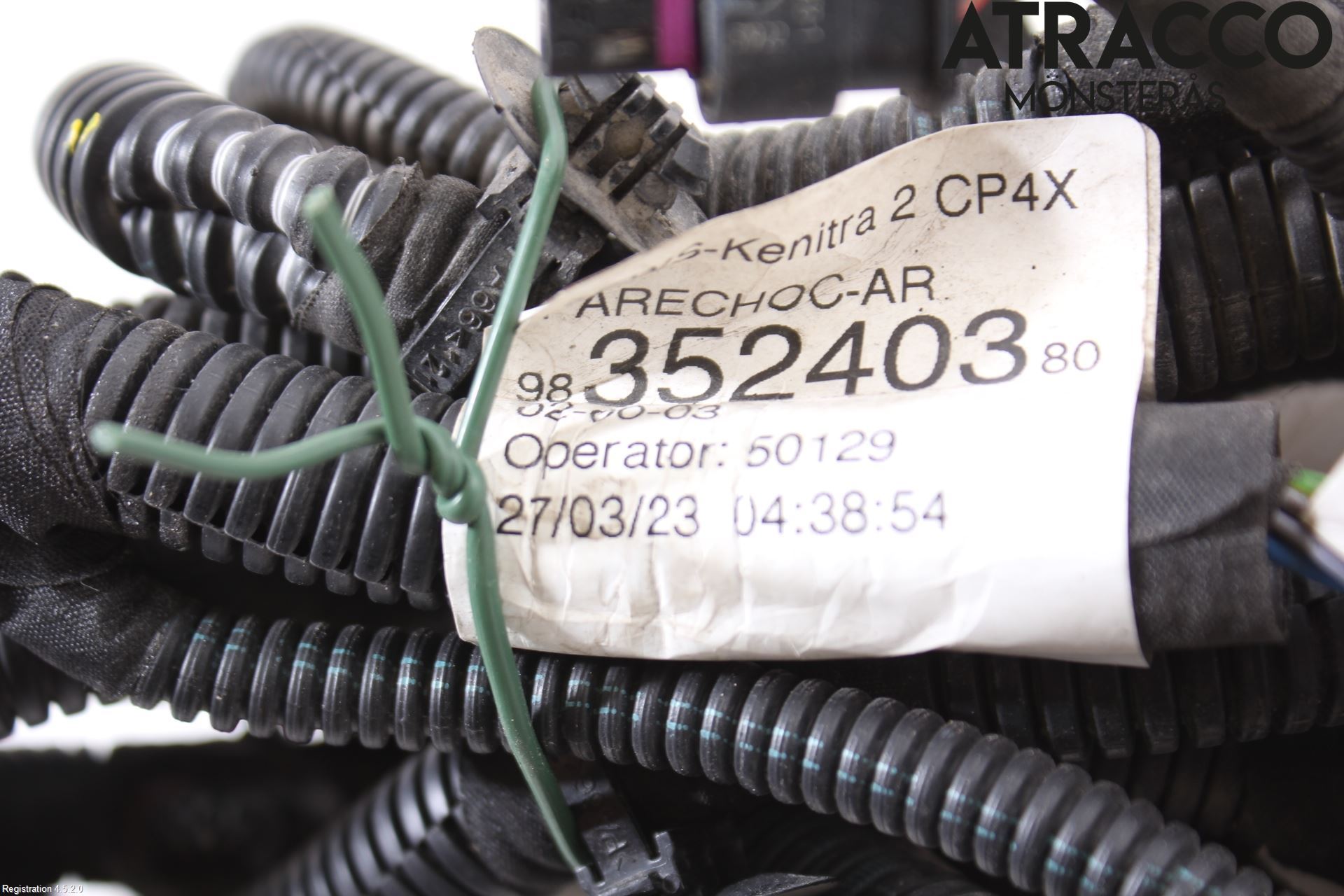 Citroen C4/E-C4 C4X/E-C4X III 21- Kabelhärva