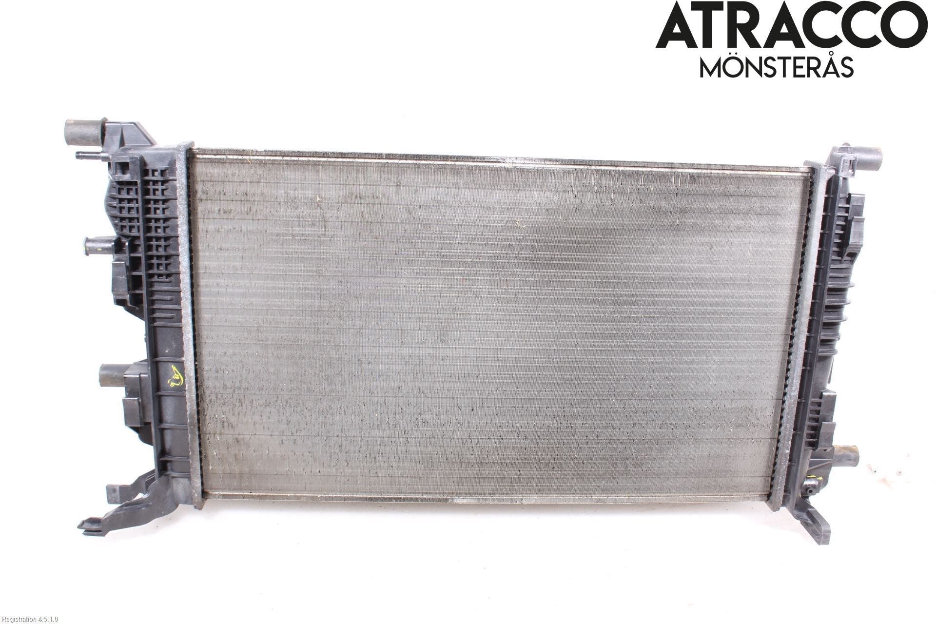 Renault MEGANE III 09-15 Kylare Man