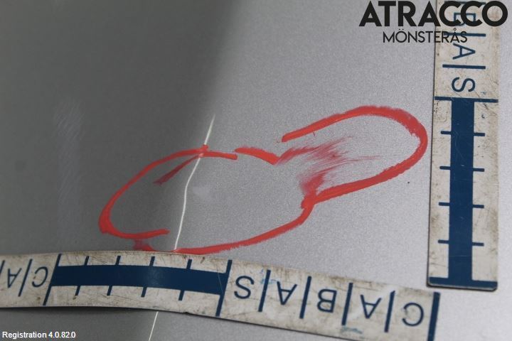 BMW 5 E60/61 Sed/Tou 02-10 Dörr Bak Höger