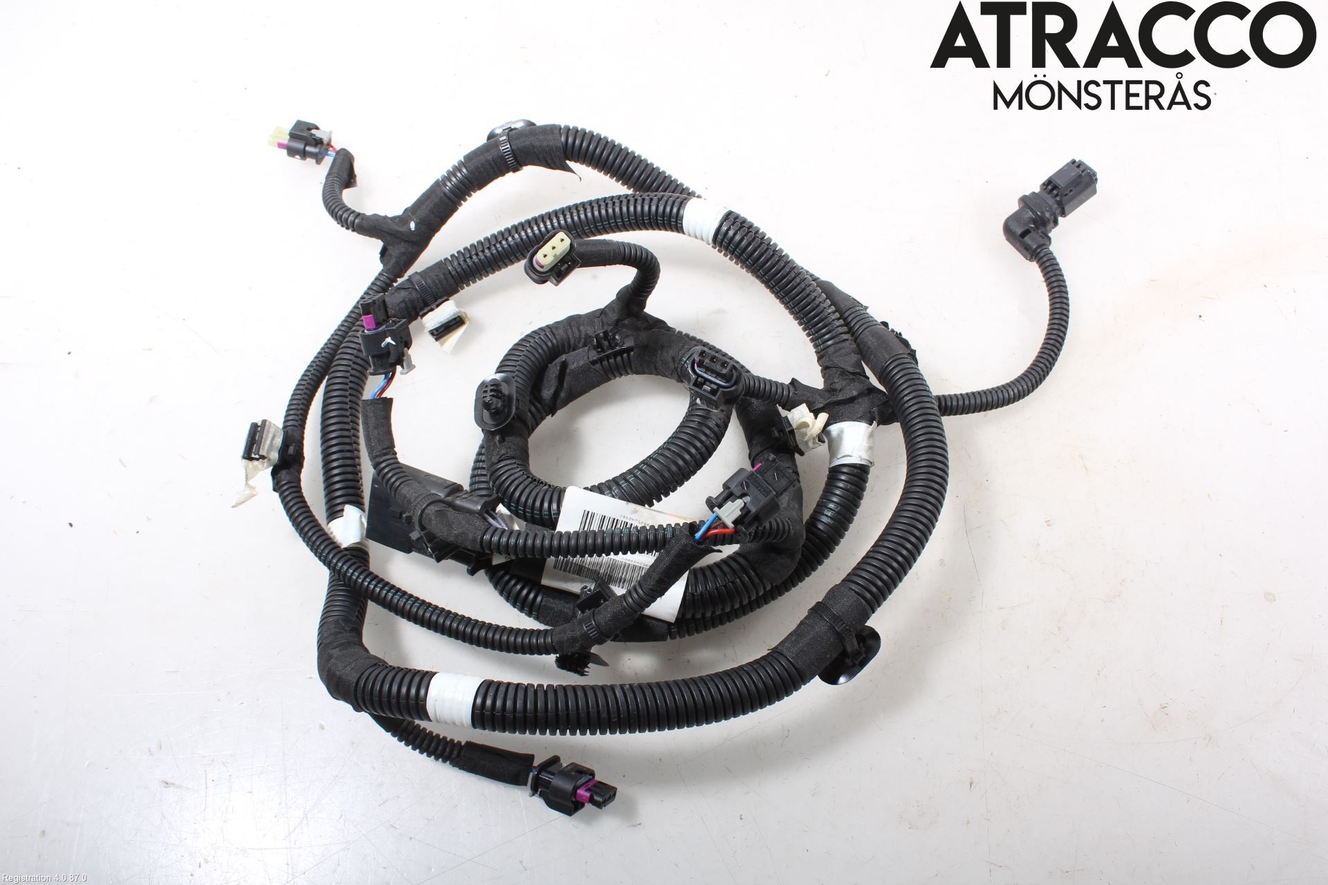 Citroen C4/E-C4 C4X/E-C4X III 21- Kabelhärva