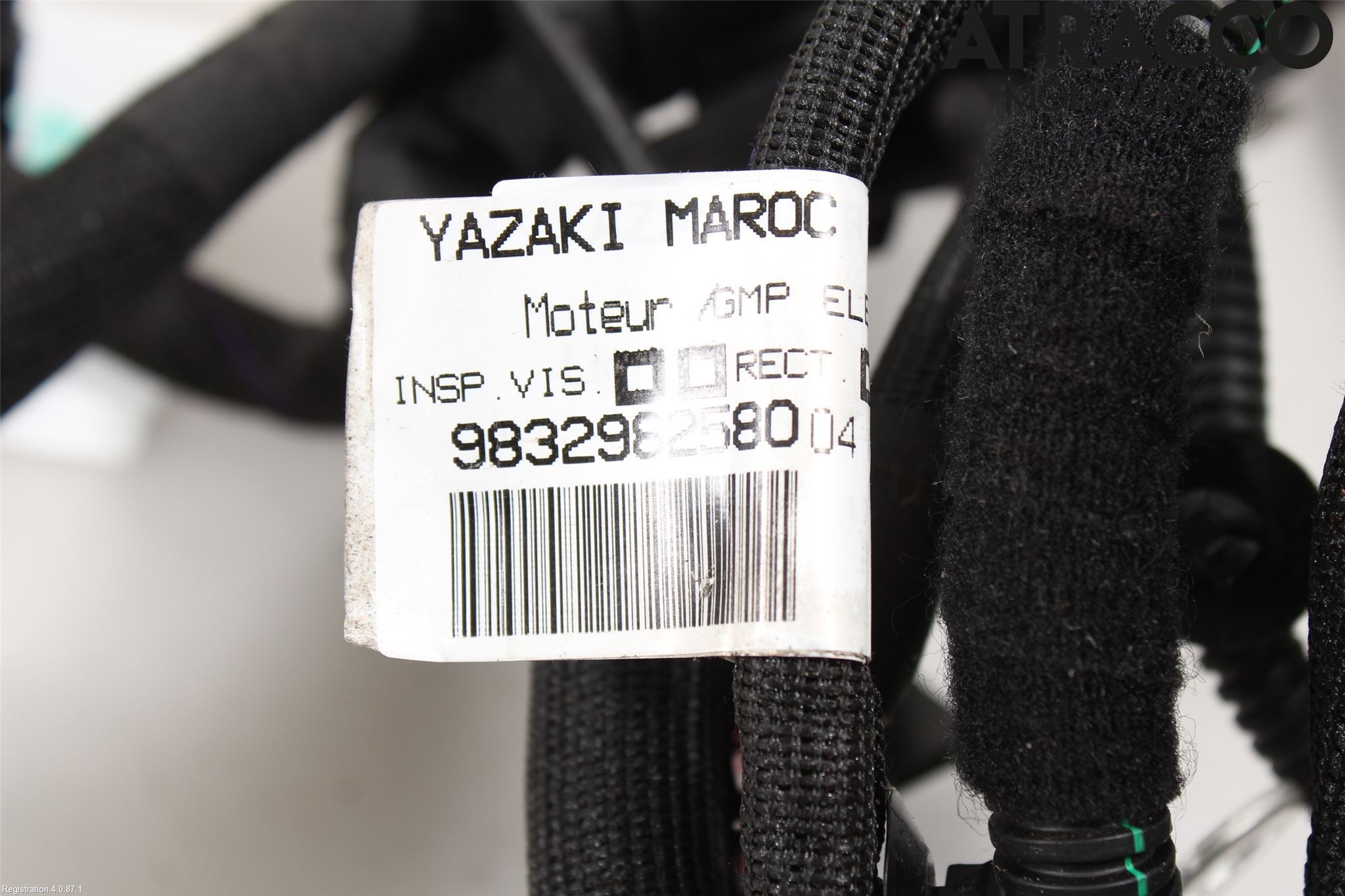 Citroen C4/E-C4 C4X/E-C4X III 21- Kabelhärva