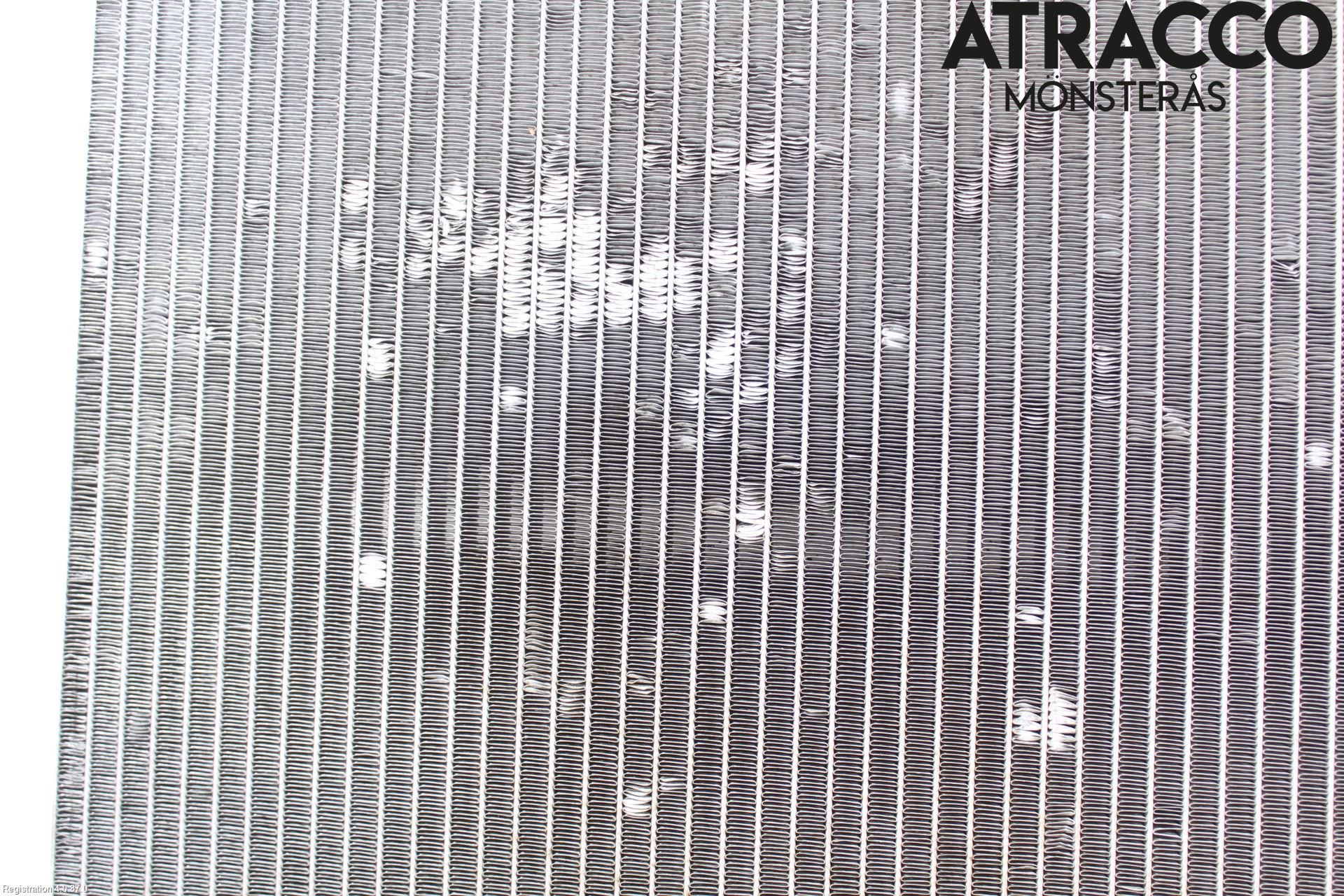 Peugeot EXPERT 07-14 Kylare Man