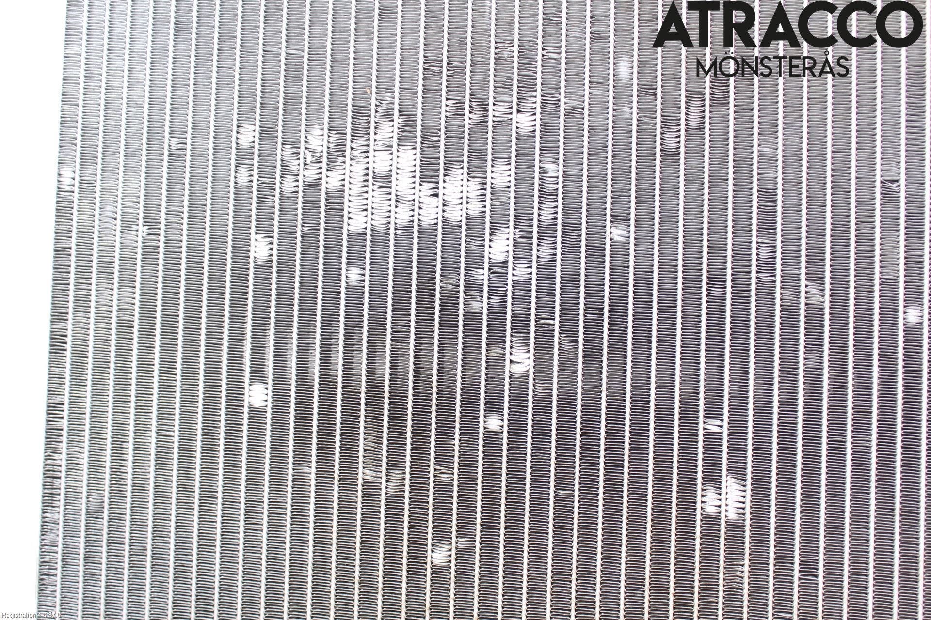 Peugeot EXPERT 07-14 Kylare Man