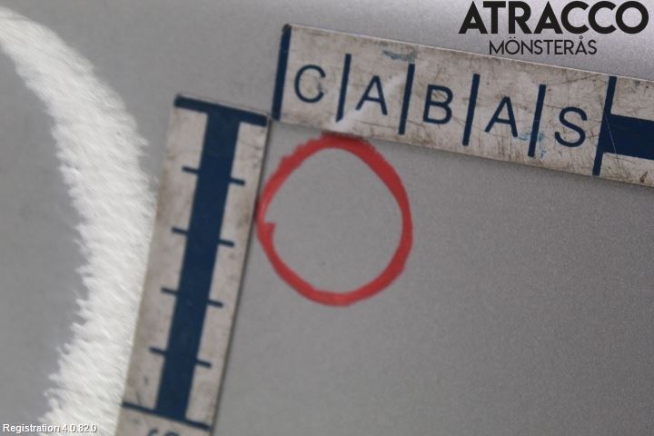 BMW 5 E60/61 Sed/Tou 02-10 Dörr Fram Höger