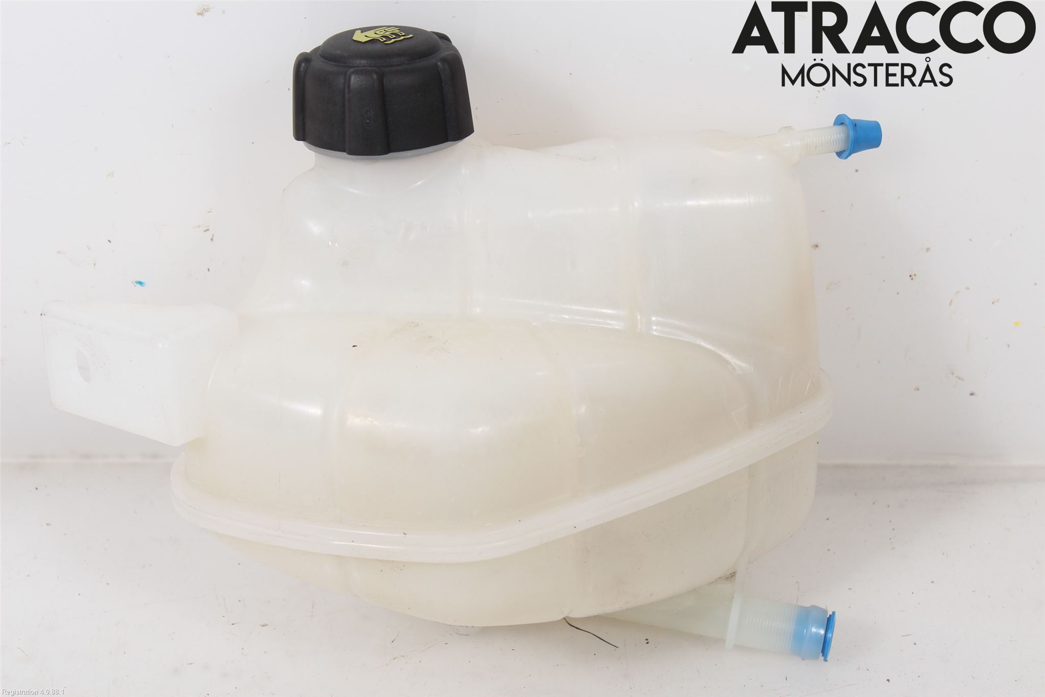 Nissan QASHQAI 17-21 Expansionstank