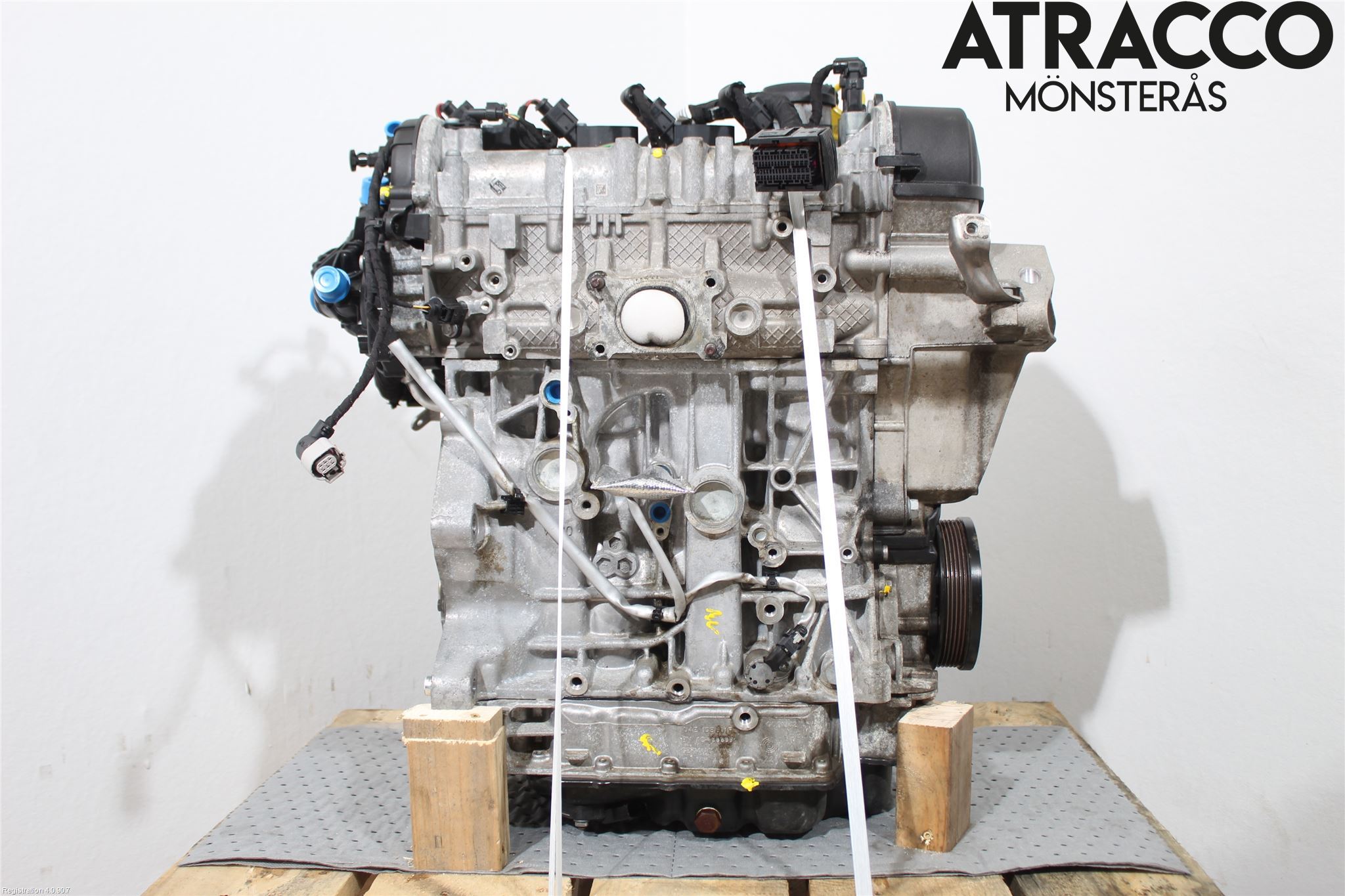 Volkswagen VW TIGUAN 16-24 Motor Bensin