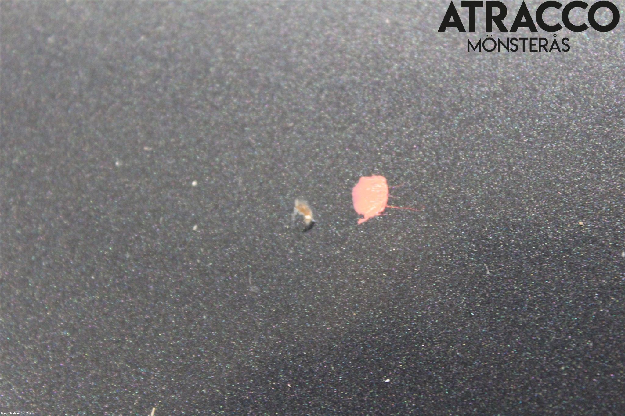 Toyota AYGO 06-14 Huv Fram