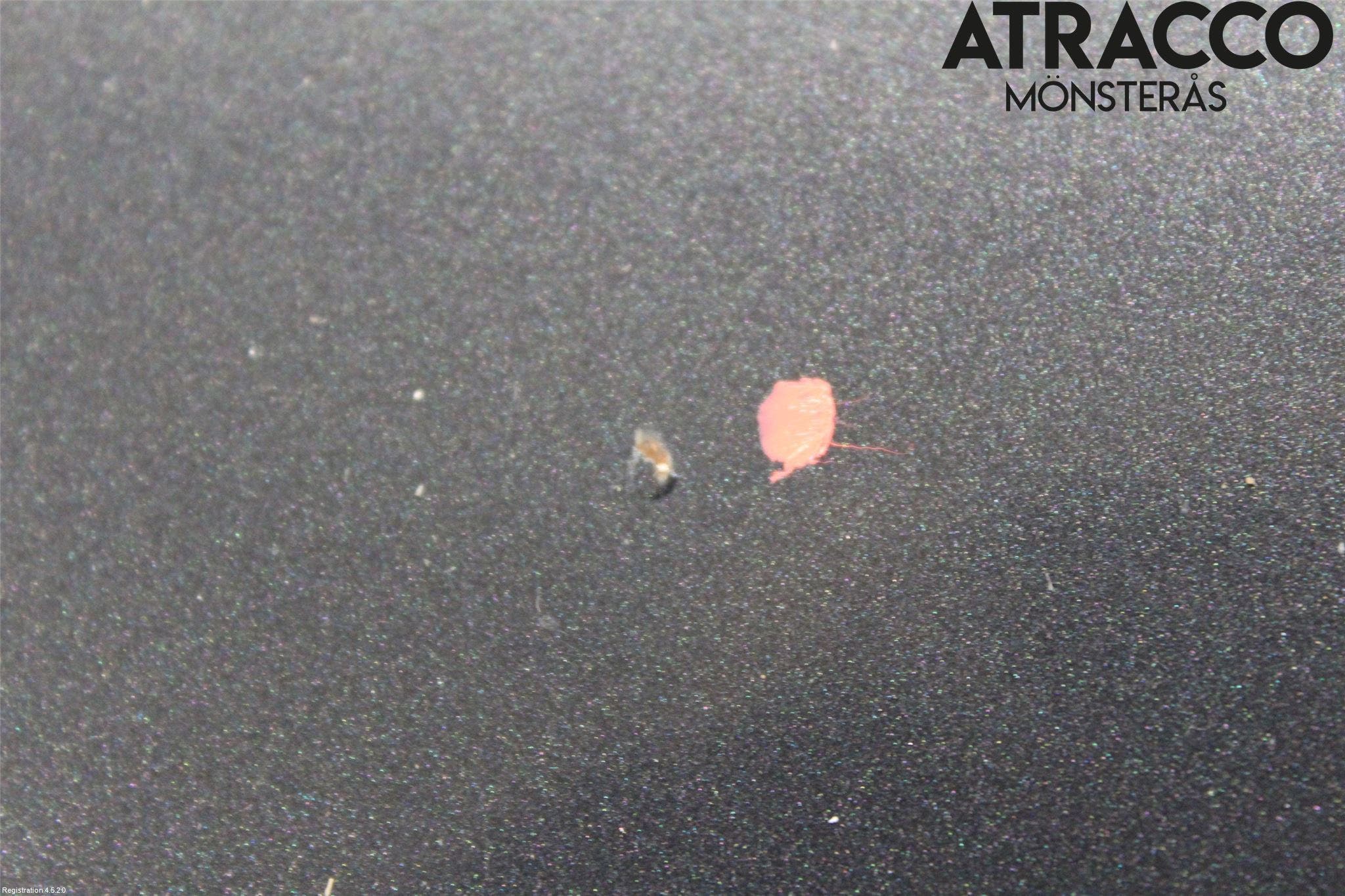 Toyota AYGO 06-14 Huv Fram