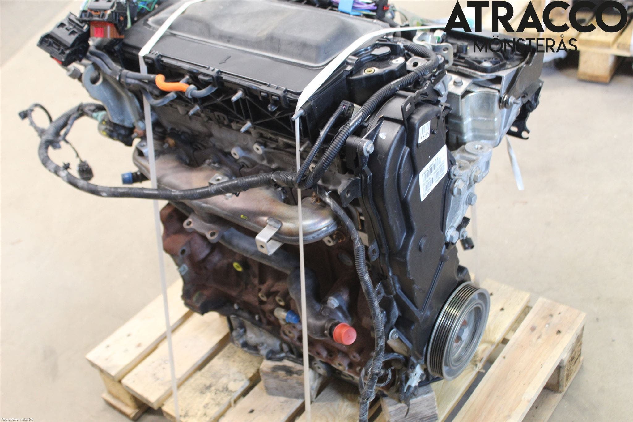 Ford KUGA 08-12 Motor Diesel