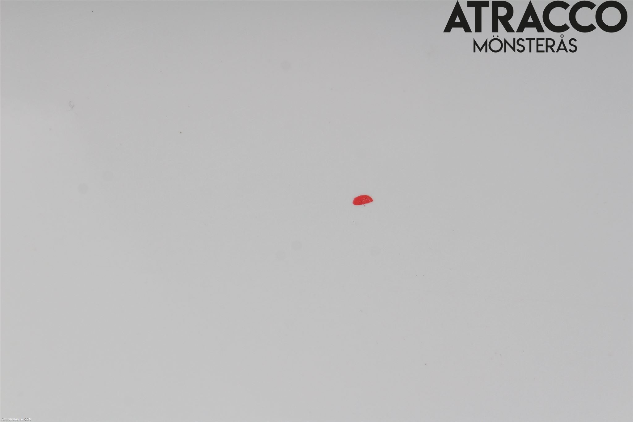 BMW 5 E60/61 Sed/Tou 02-10 Dörr Bak Höger