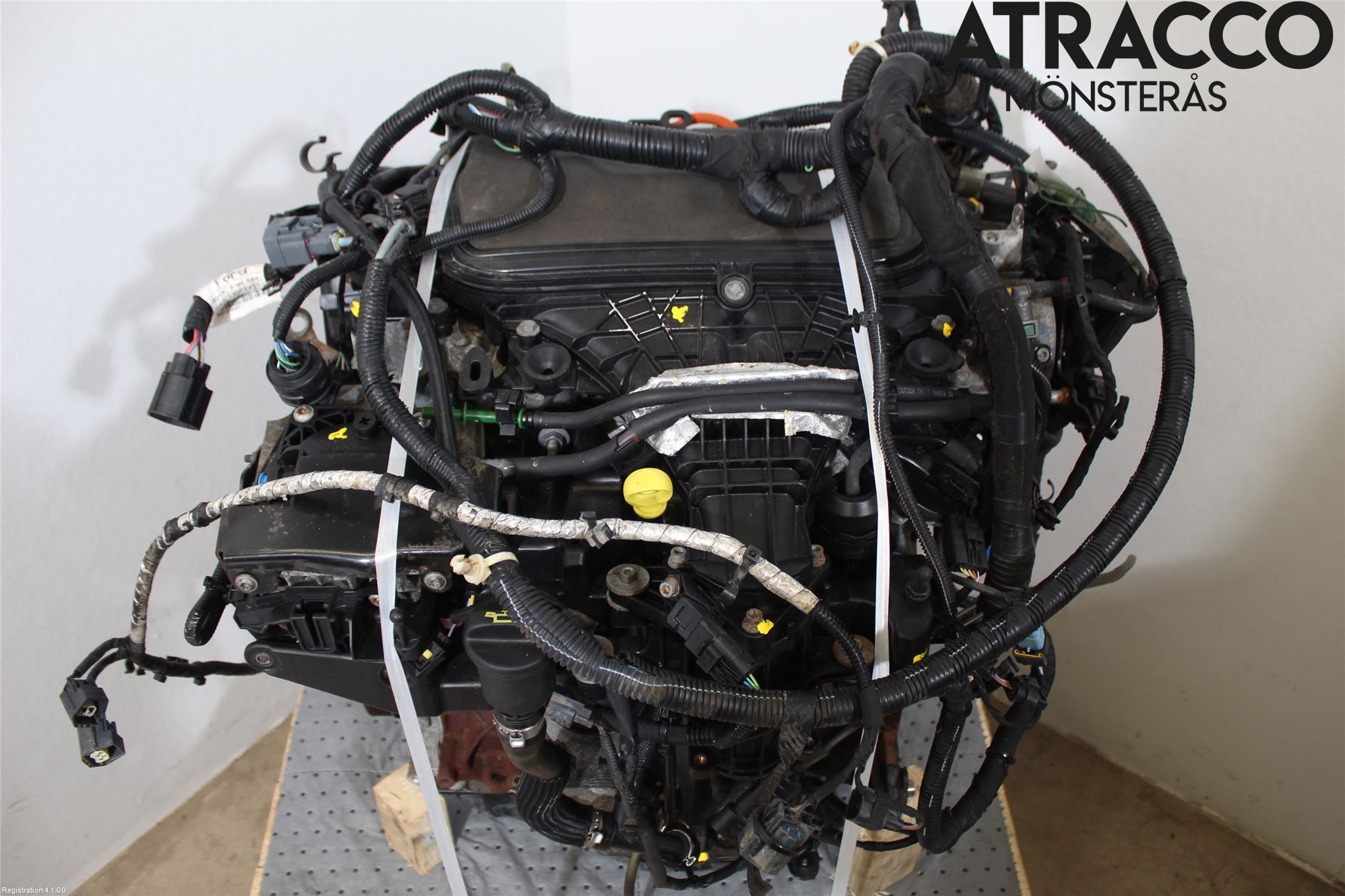 Ford S-MAX 06-15 Motor Diesel