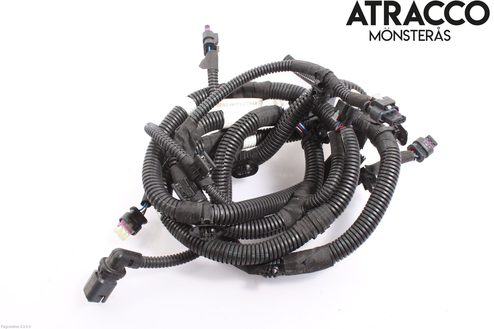 Citroen C4/E-C4 C4X/E-C4X III 21- Kabelhärva