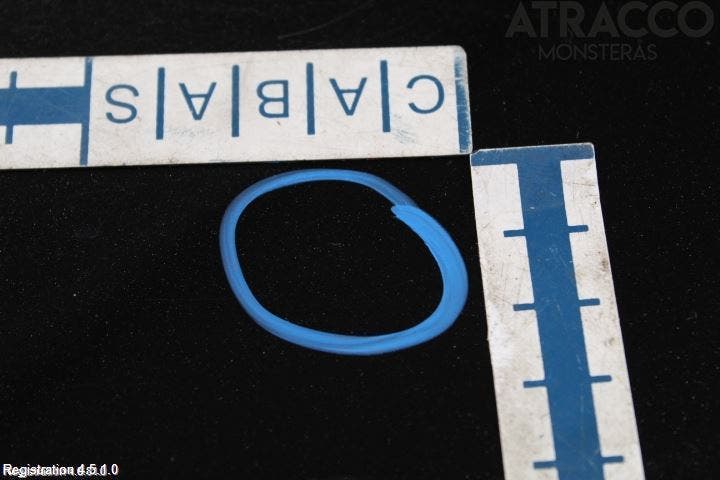 Lexus RX AL10 09-15 Dörr Bak Vänster