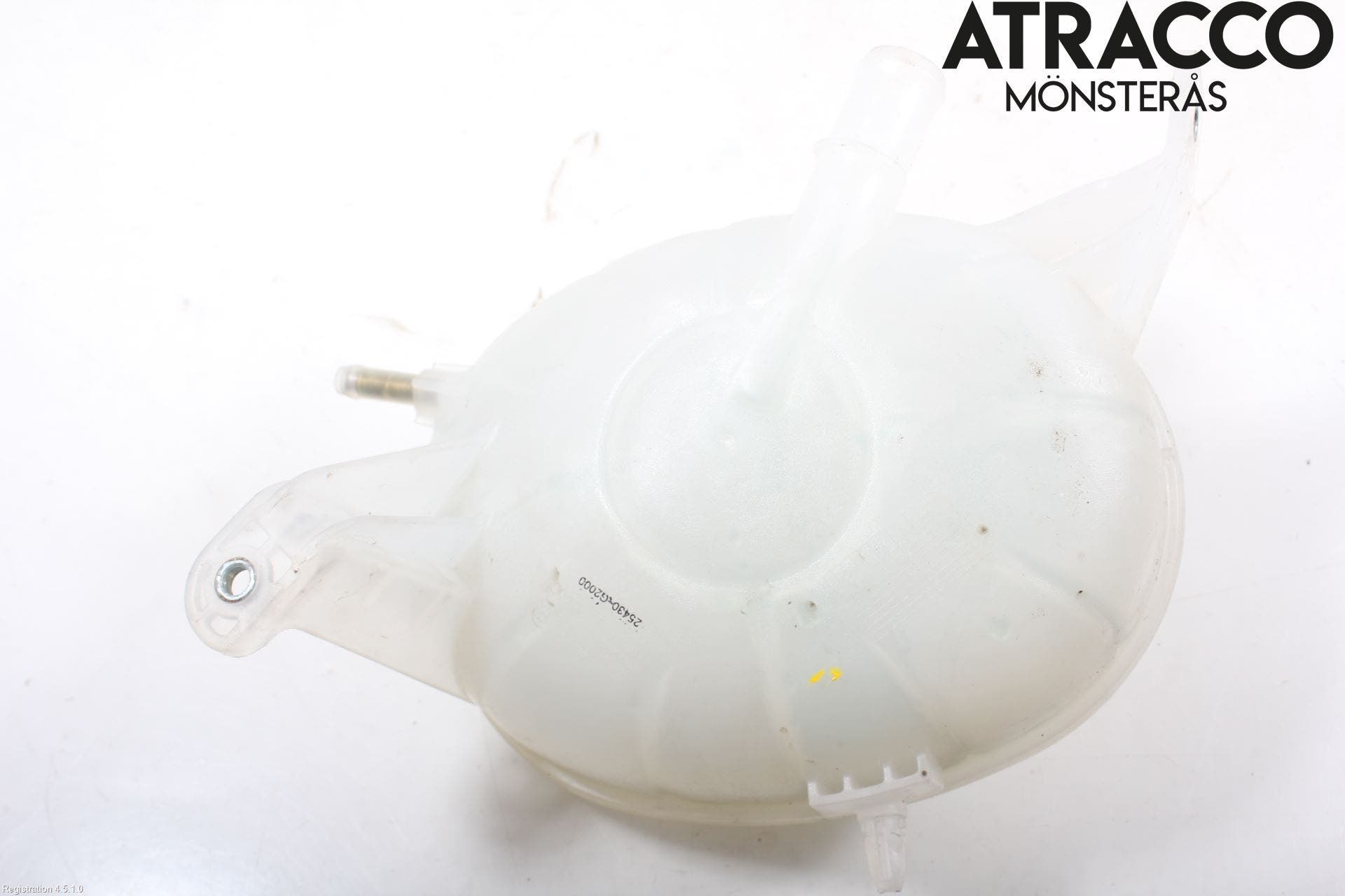 Hyundai IONIQ AE 17-22 Expansionstank