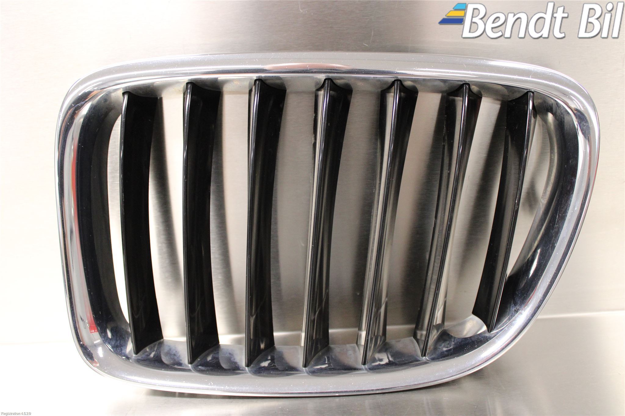 BMW X1 E84 10-15 Grill-Galler