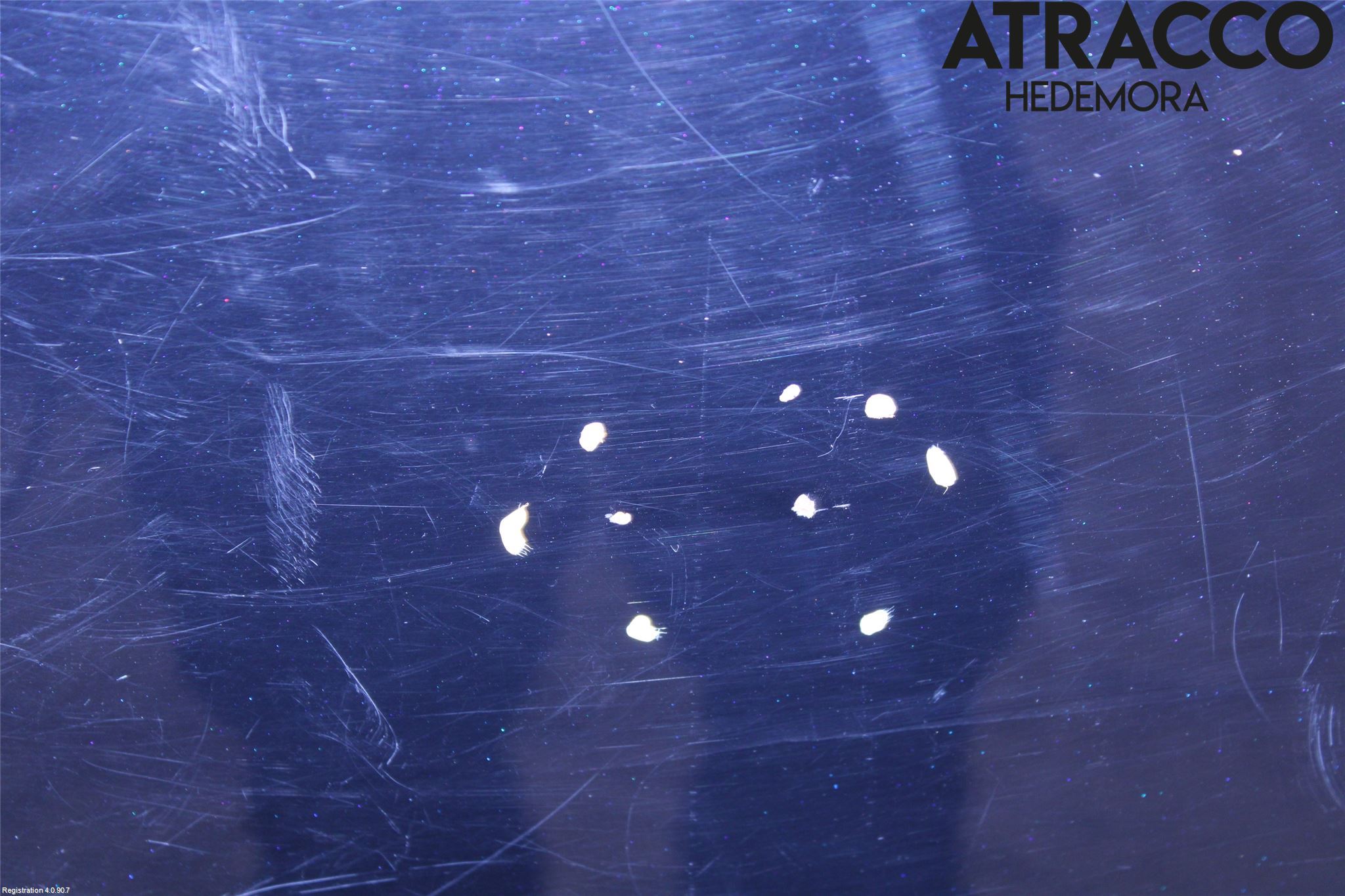 Lexus CT 200h Dörr Bak Vänster