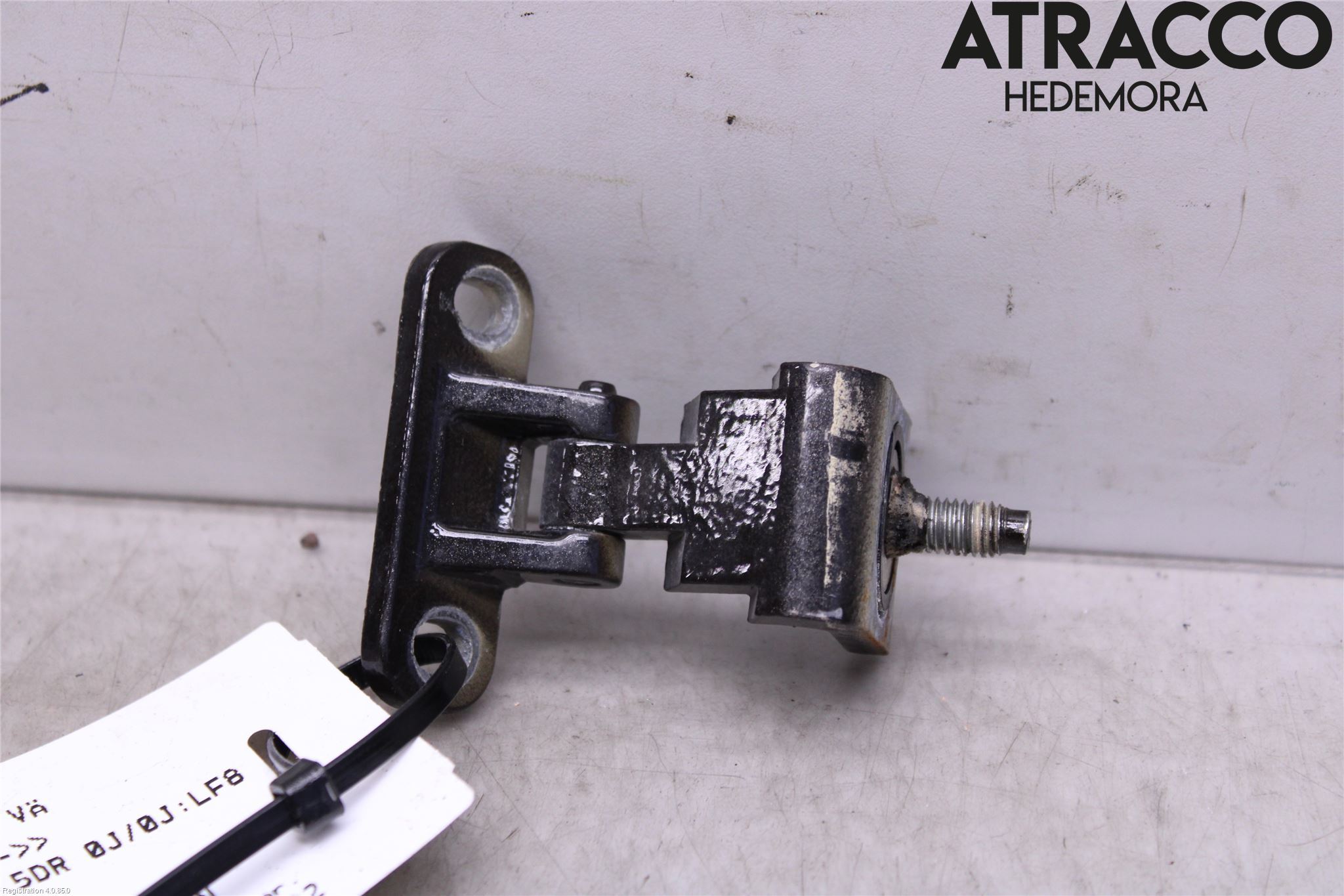 Skoda KODIAQ 17-24 Bakluckegångjärn Vä