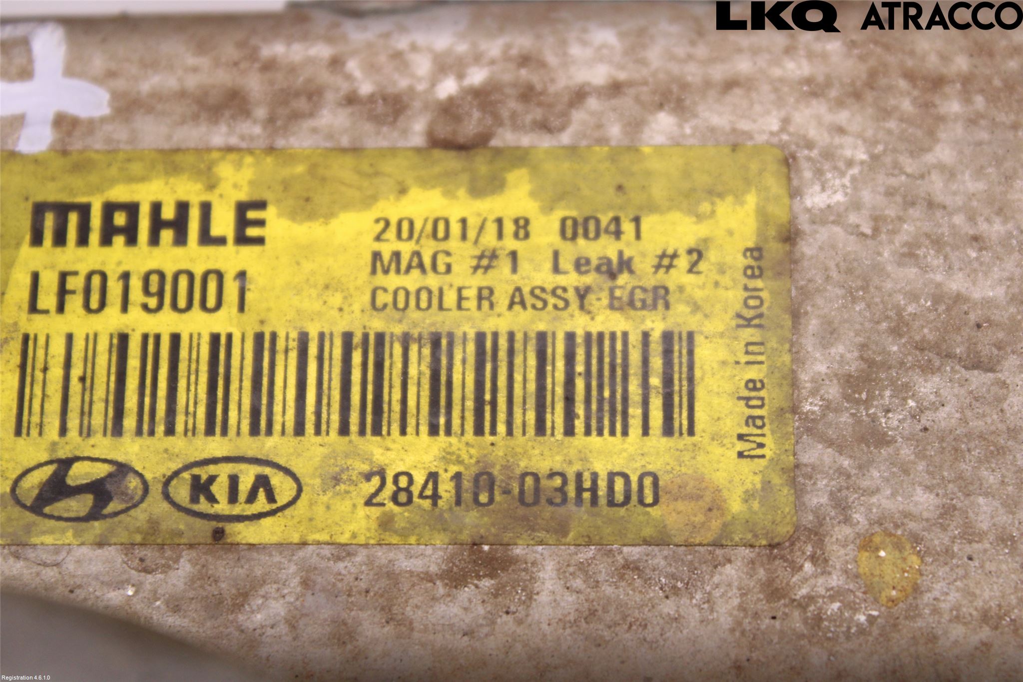 Kia CEED/CEED SW 19- Avgaskylare