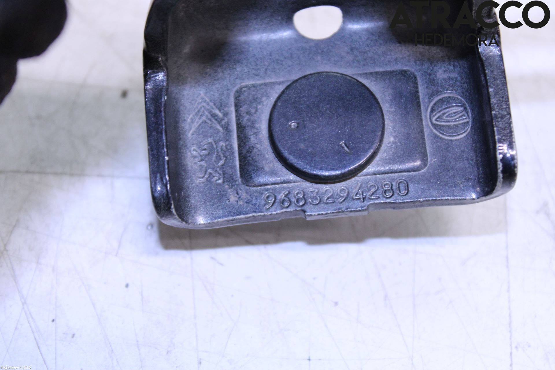 Peugeot 3008 09-16 Bakluckegångjärn Vä