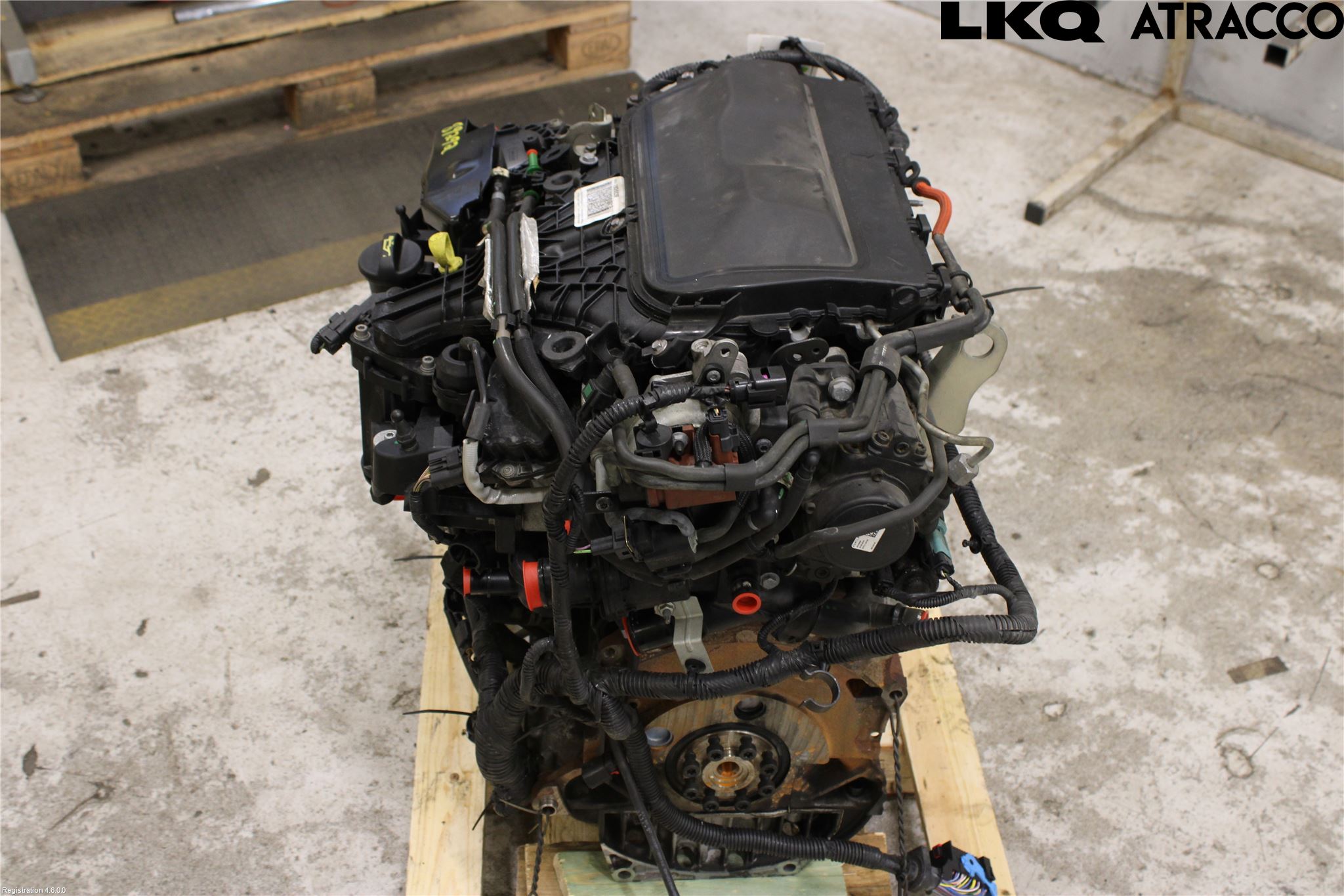 Ford KUGA 13-16 Motor Diesel