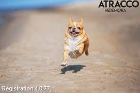 Volkswagen VW PASSAT CC 08-16 Injmappsensor