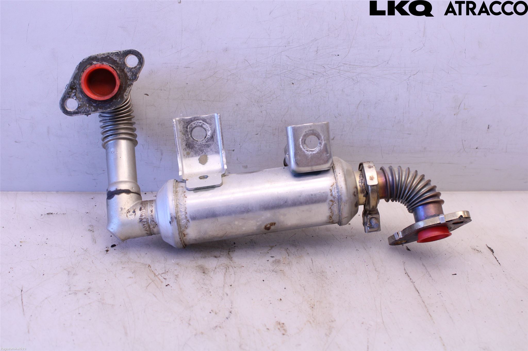 Ford TRANSIT CONNECT 09-13 Avgaskylare