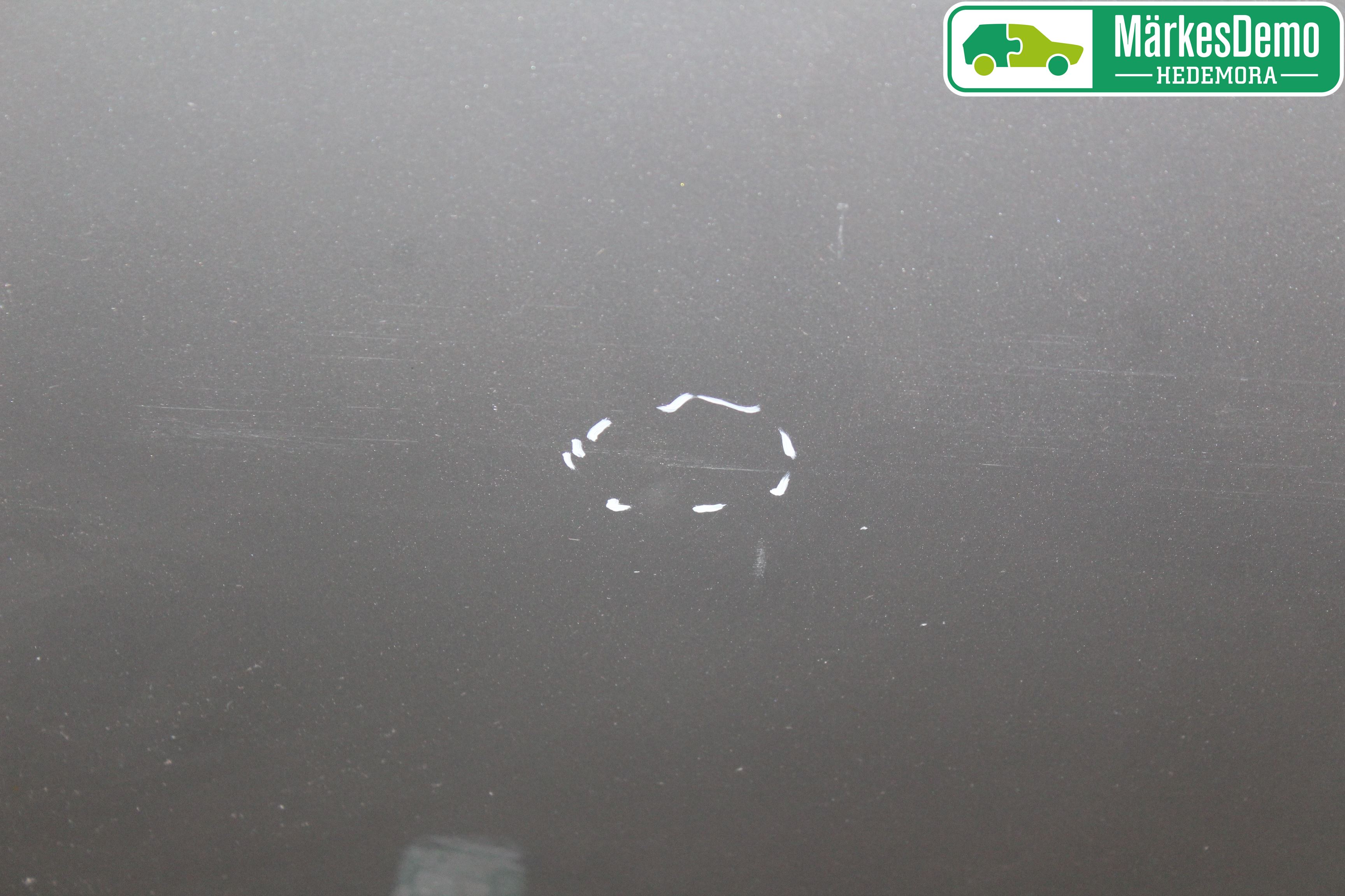 BMW X3 E83     03-10 Dörr Bak Vänster