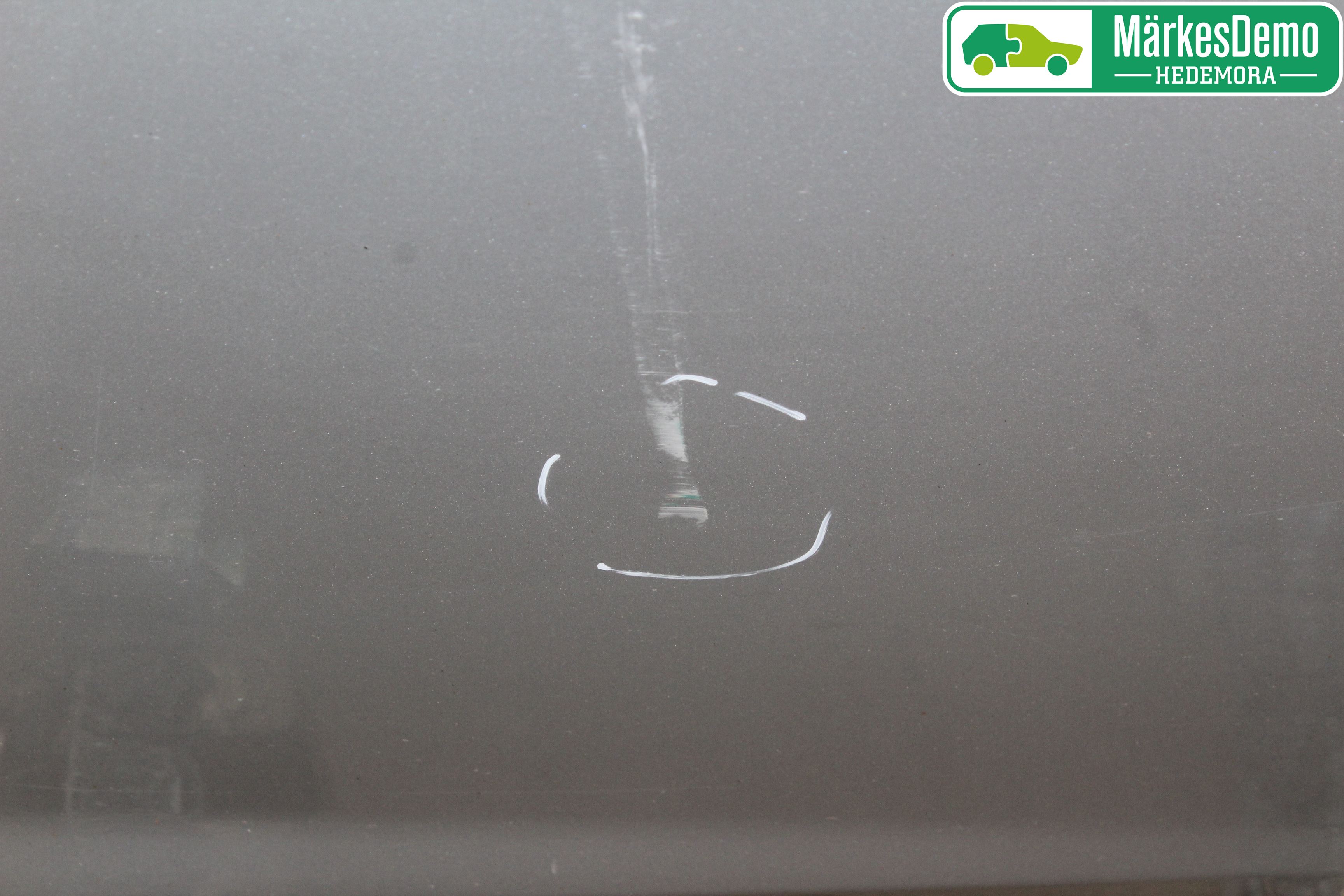 Ford FOCUS 08-11 Dörr Bak Vänster