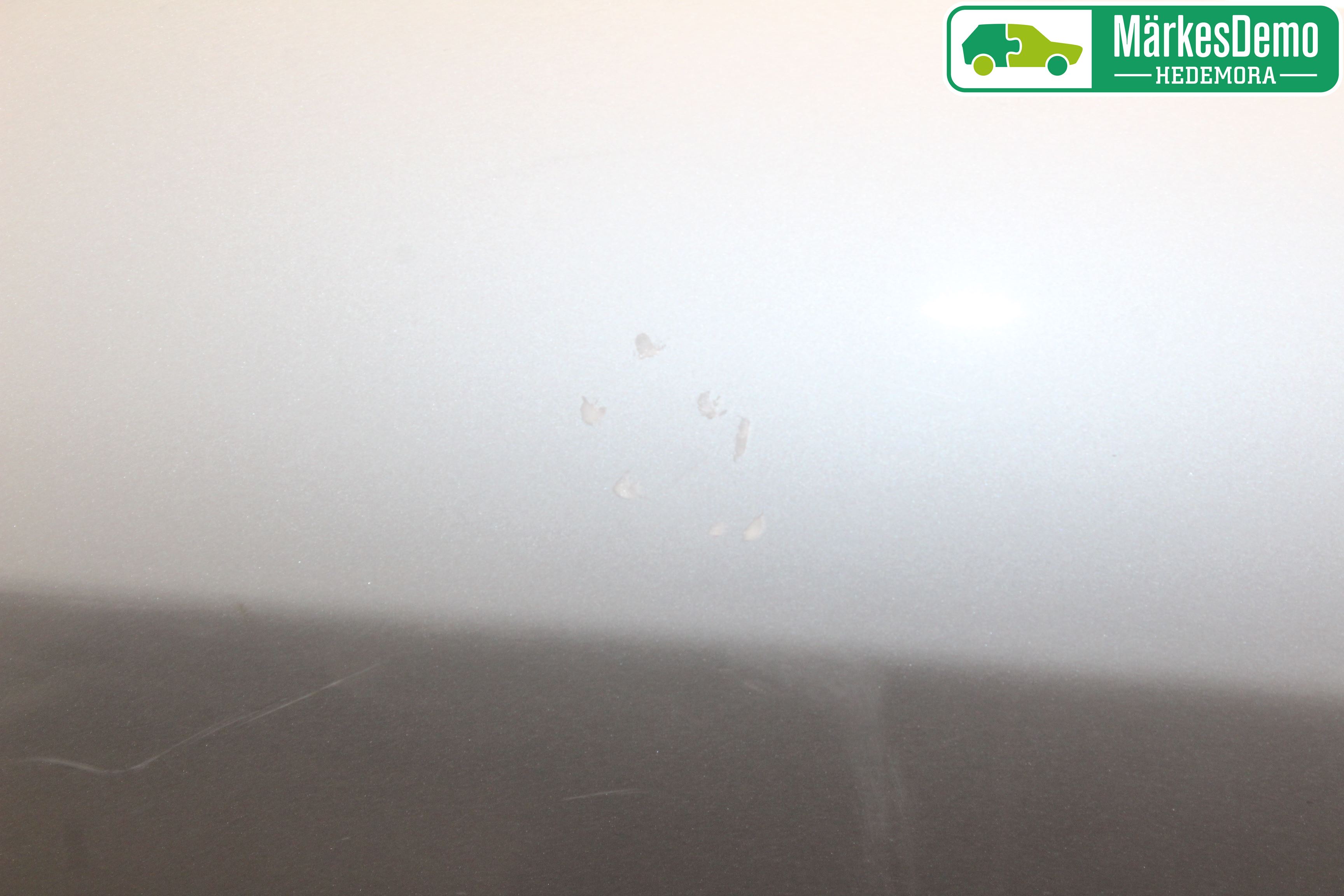 Renault MEGANE III 09-15 Dörr Bak Höger