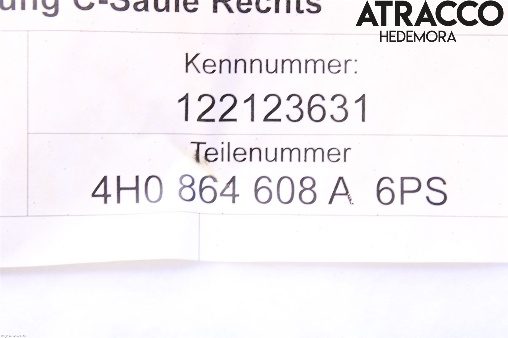 Audi A8/S8 4H 10-17 Inr Tröskel-Insteg
