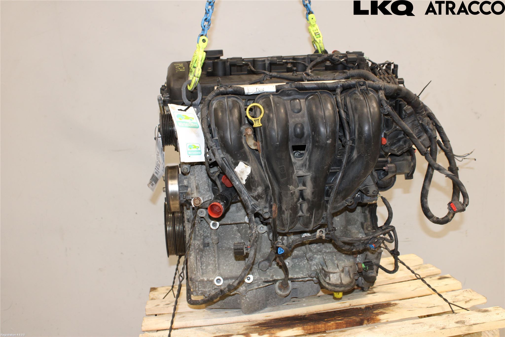 Ford FOCUS     04-07 Motor Bensin