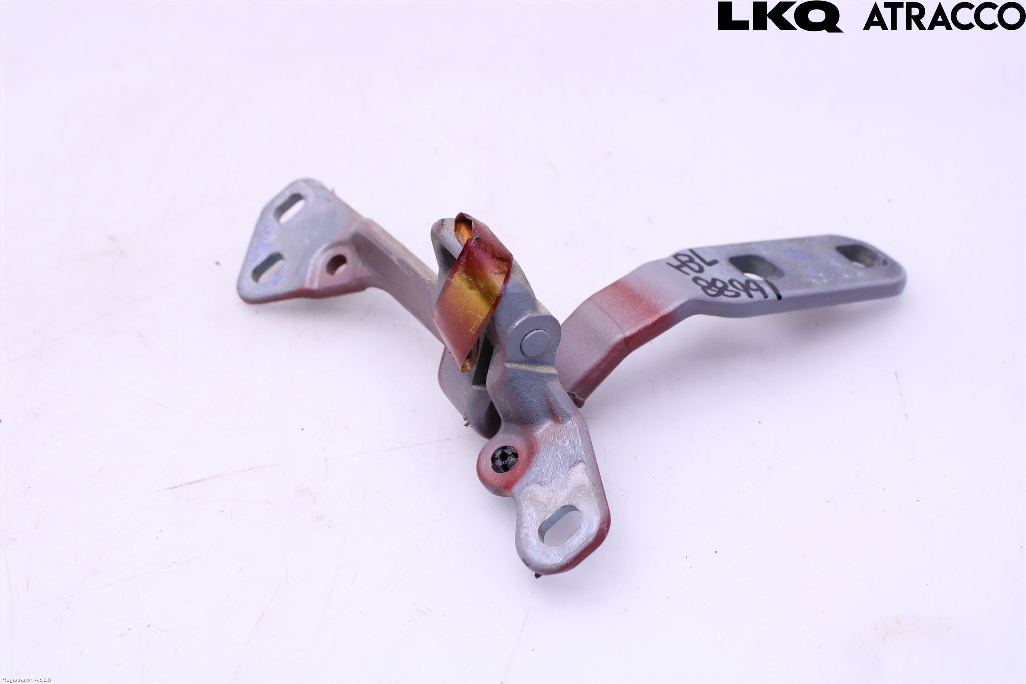 BMW X6 E71/E72   08-14 Bakluckegångjärn Hö