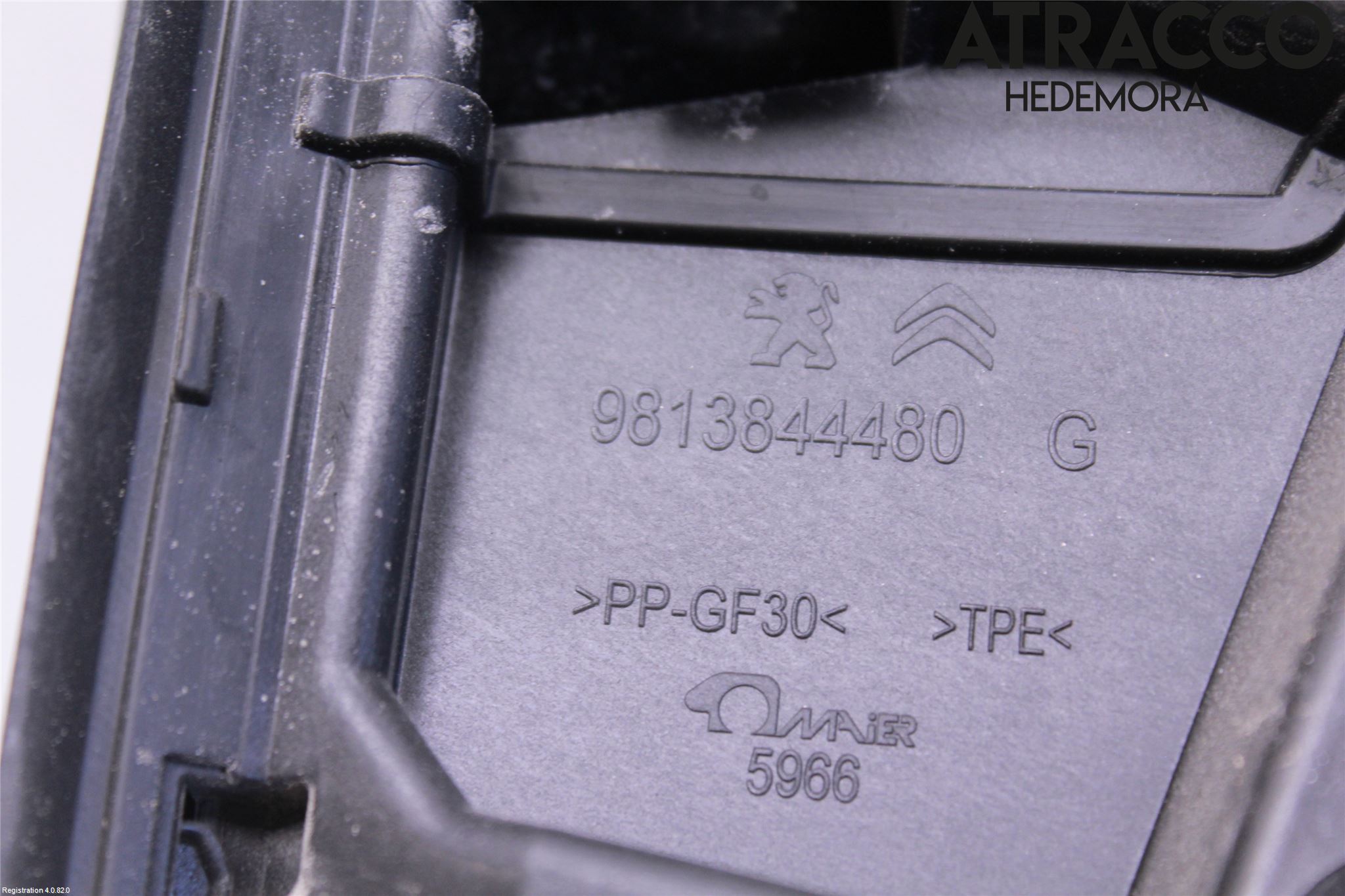 Peugeot 3008 17-24 Bakruta - Dekorlist