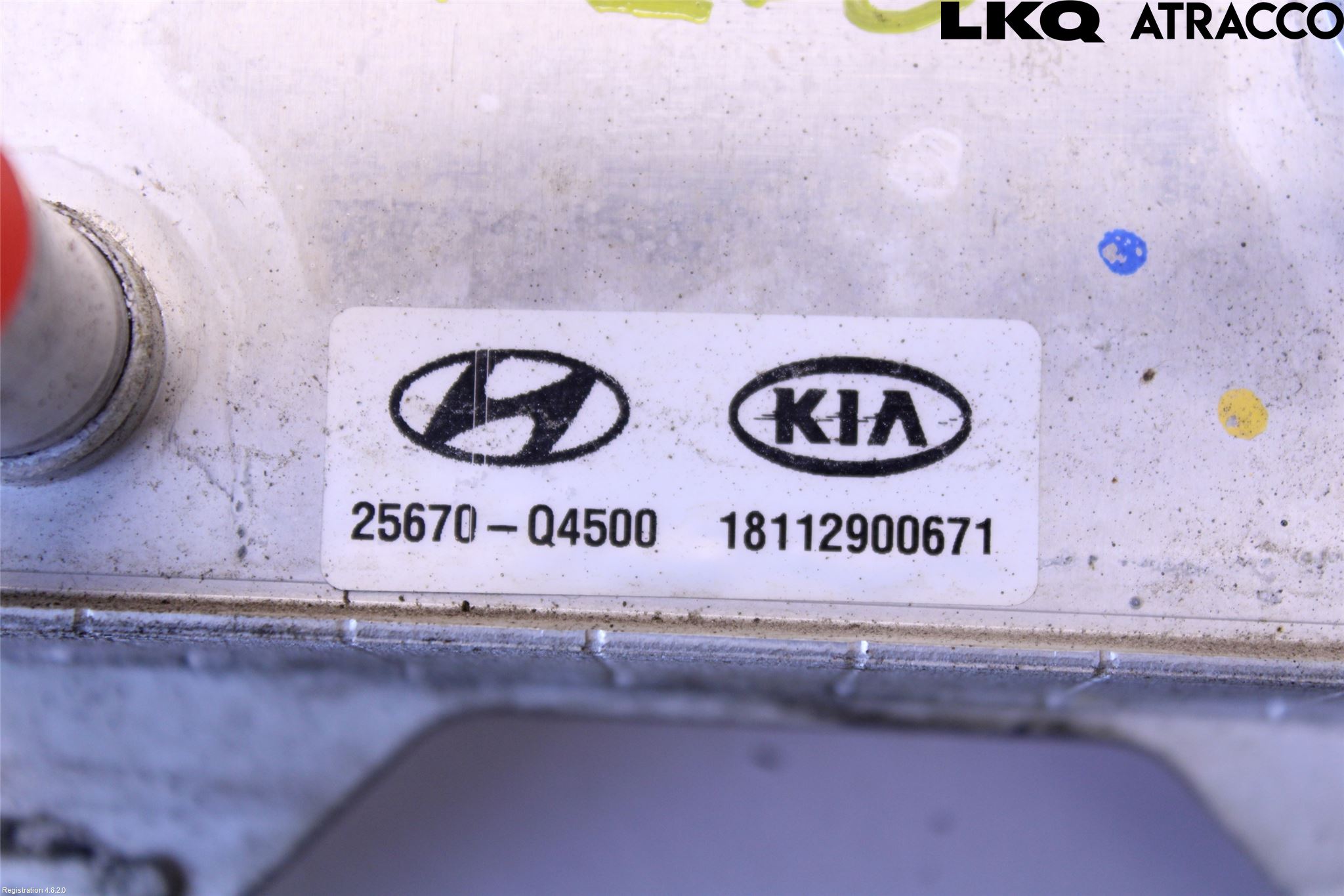 Kia NIRO (DE) 17-22 Oljekylare Automat