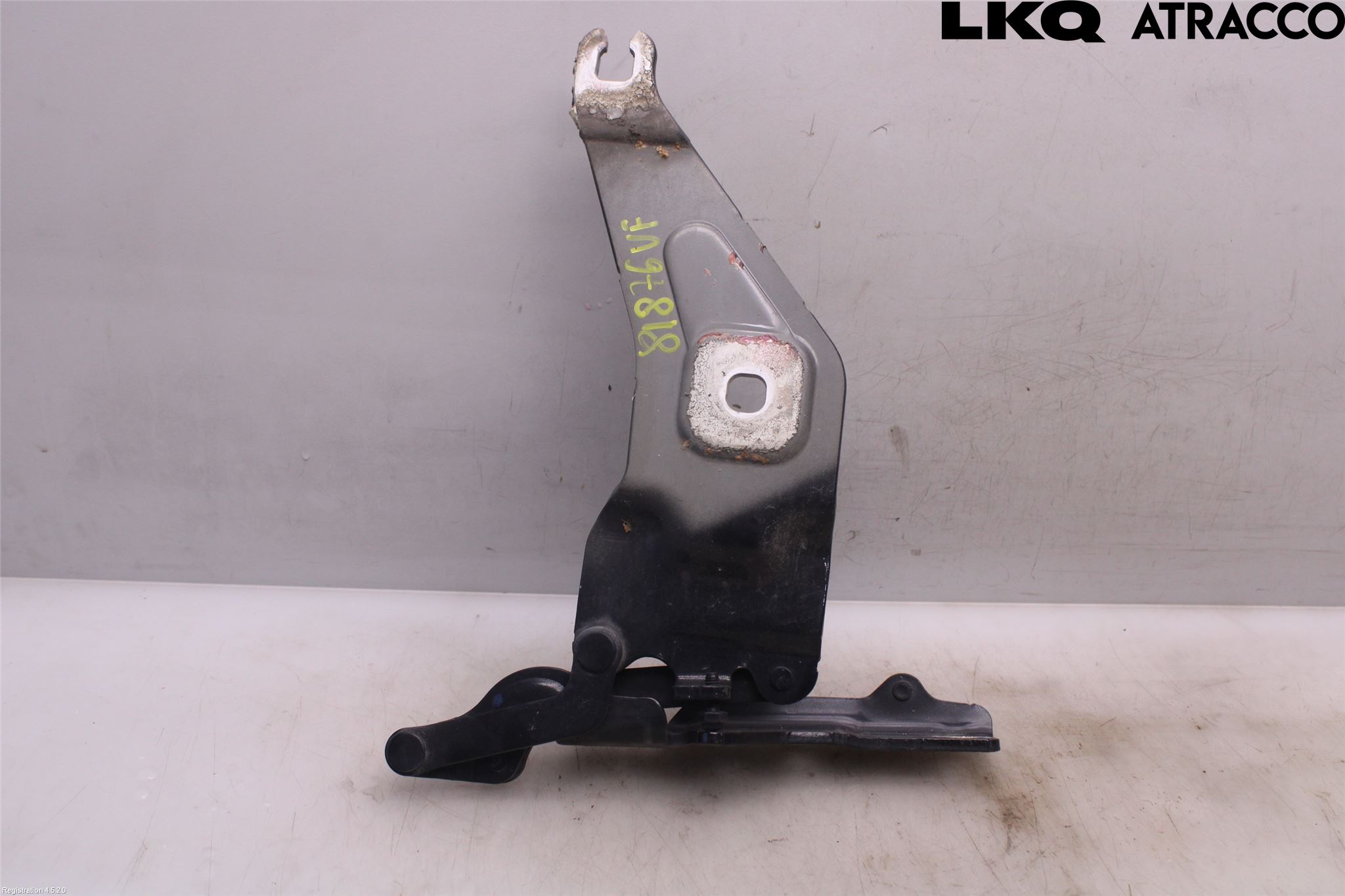 BMW X5 E70 07-13 Huvgångjärn