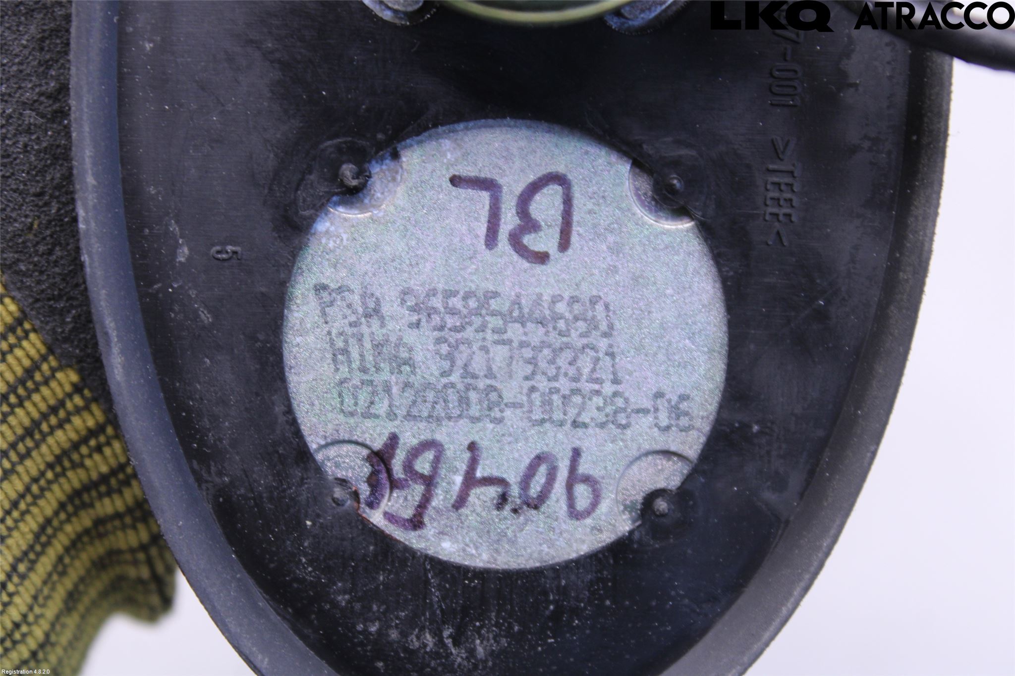 Citroen C4 PICASSO 06-13 Antenn