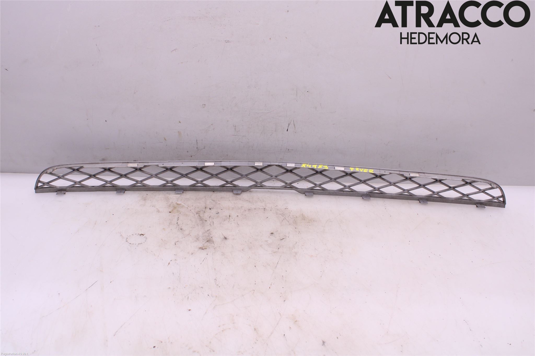 BMW X5 E70 07-13 Grill-Galler