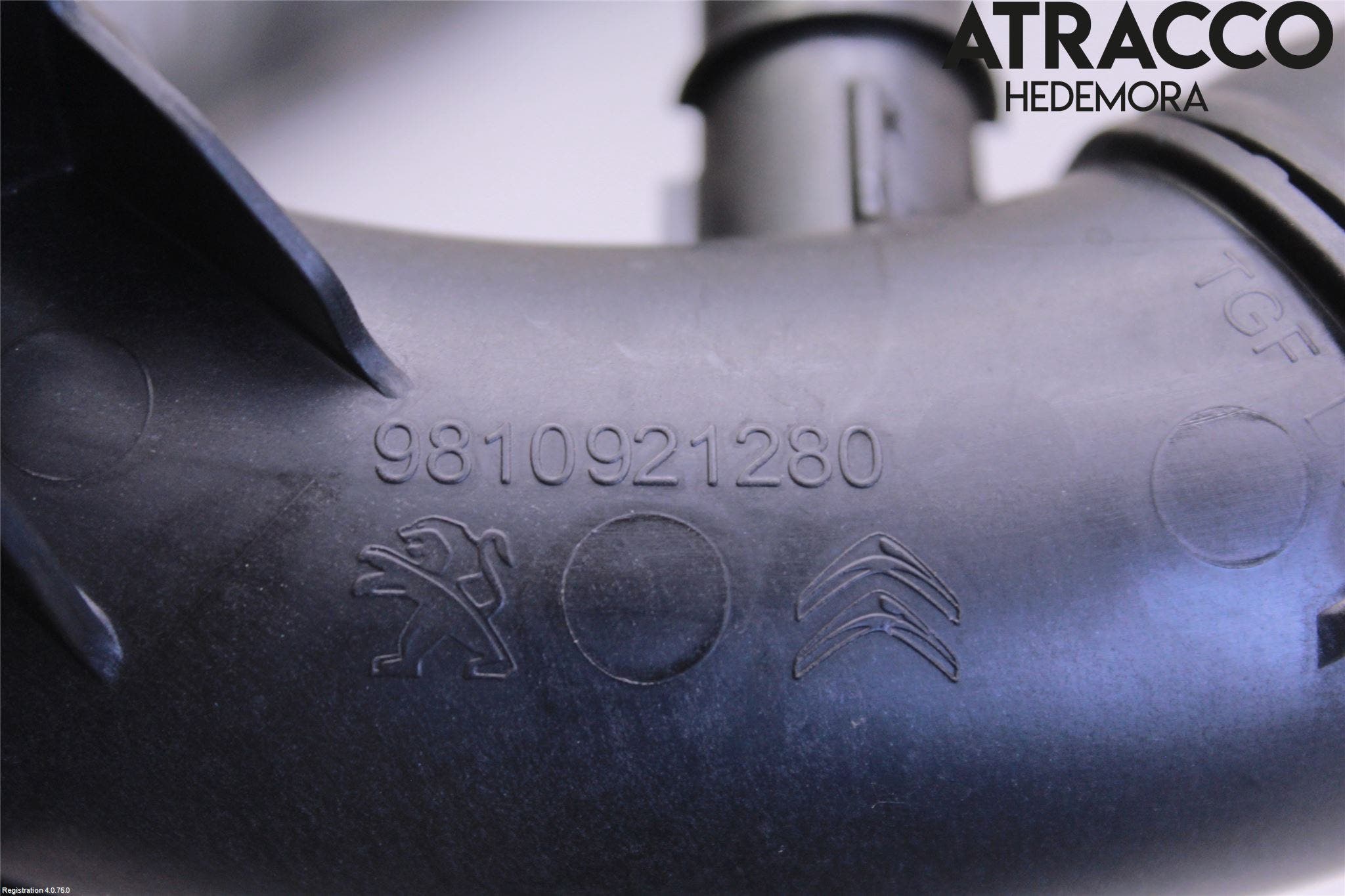 Citroen BERLINGO/E-BERLINGO 19- Injgummibälg-Slang