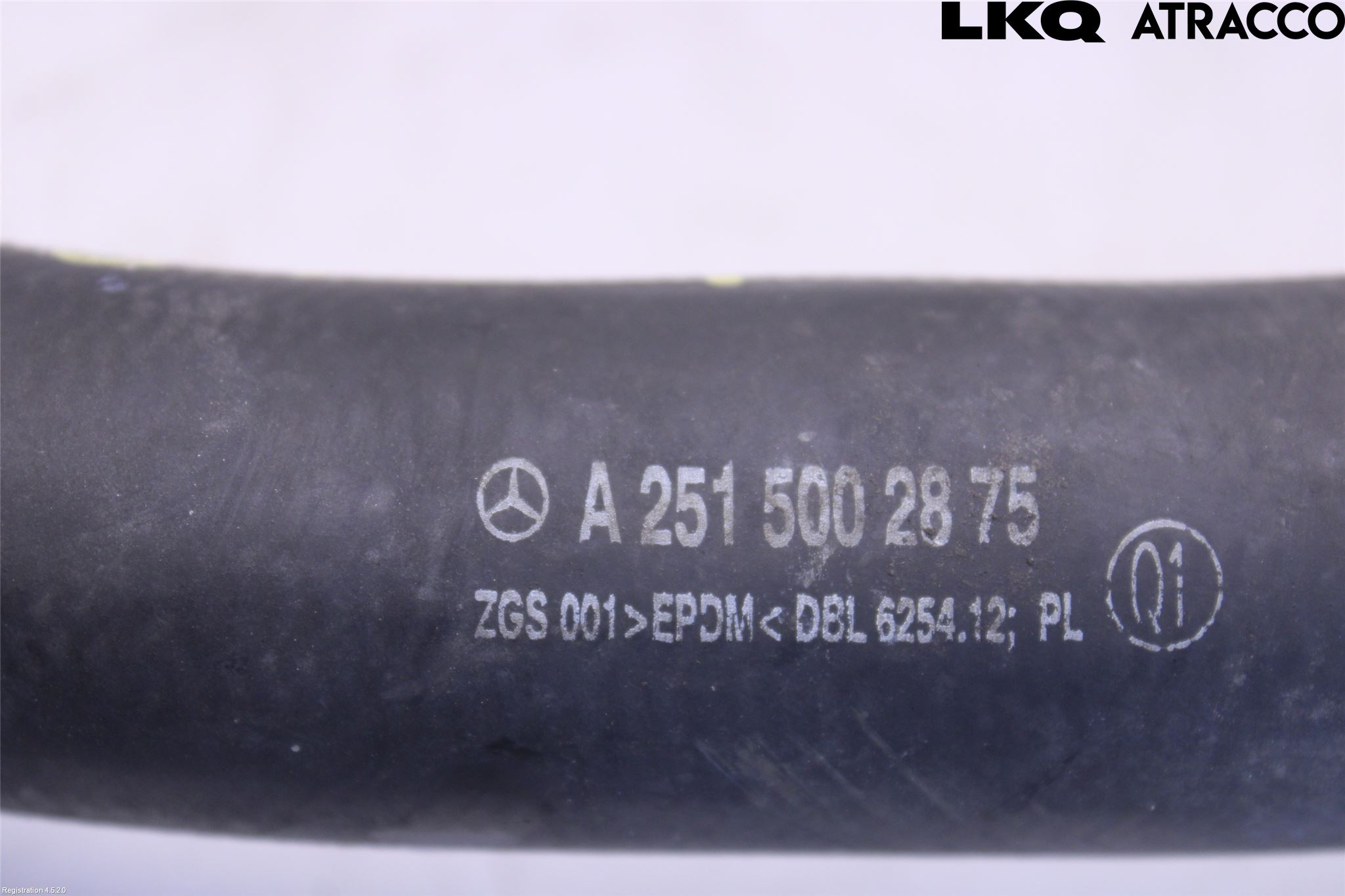 Mercedes-Benz MB R-KLASS (W251) 05-13 Kylarslang