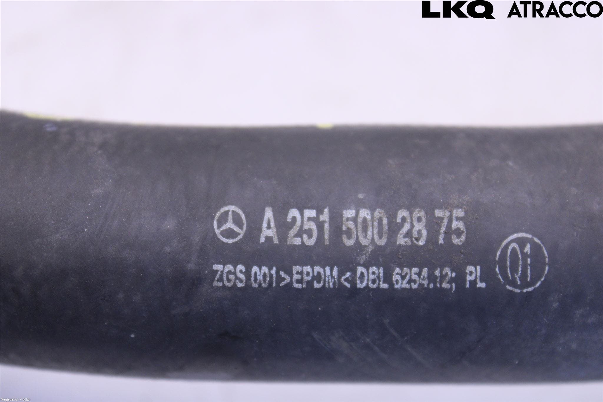 Mercedes-Benz MB R-KLASS (W251) 05-13 Kylarslang