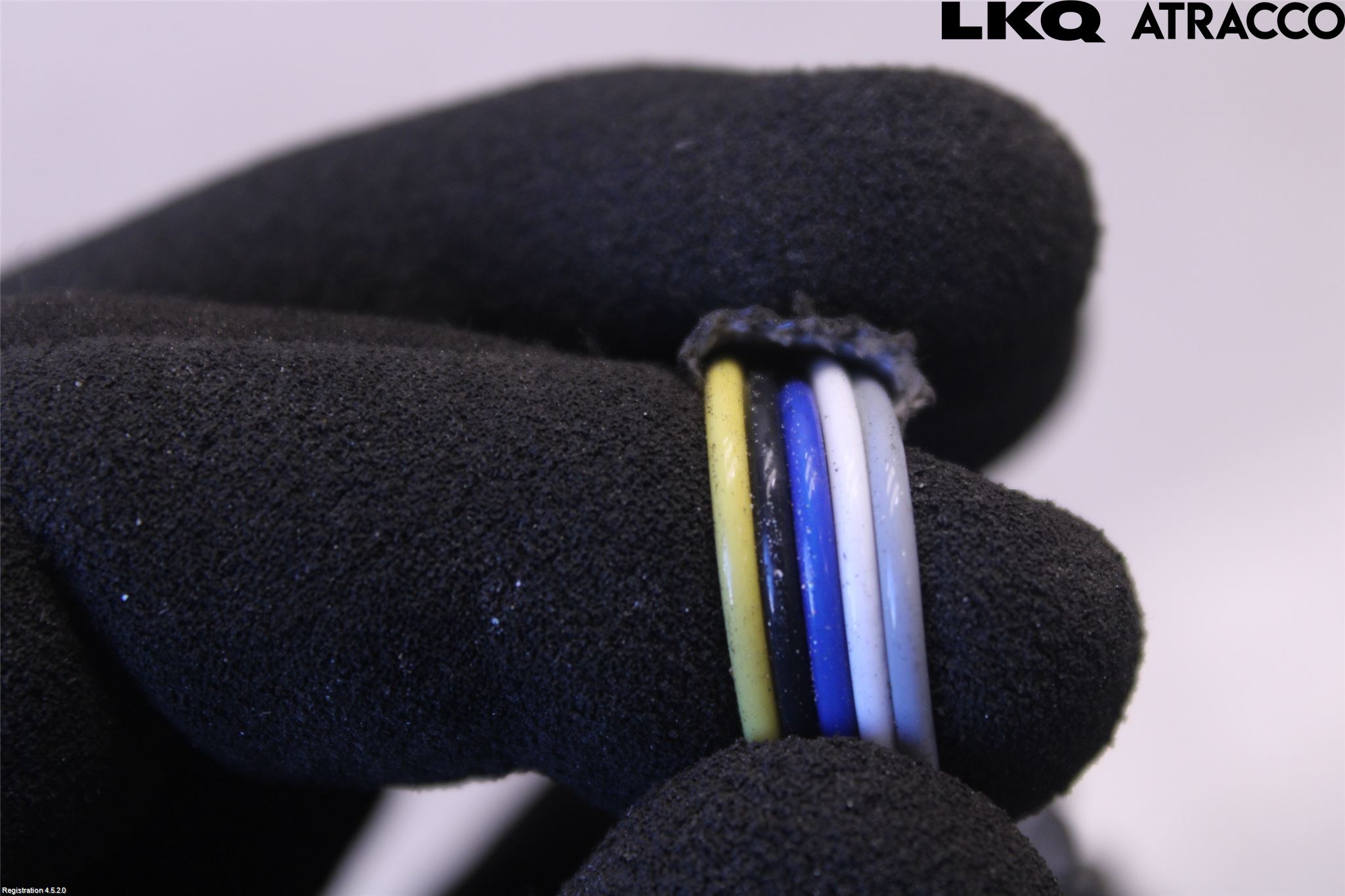 Kia PROCEED 19- Injlambdasond