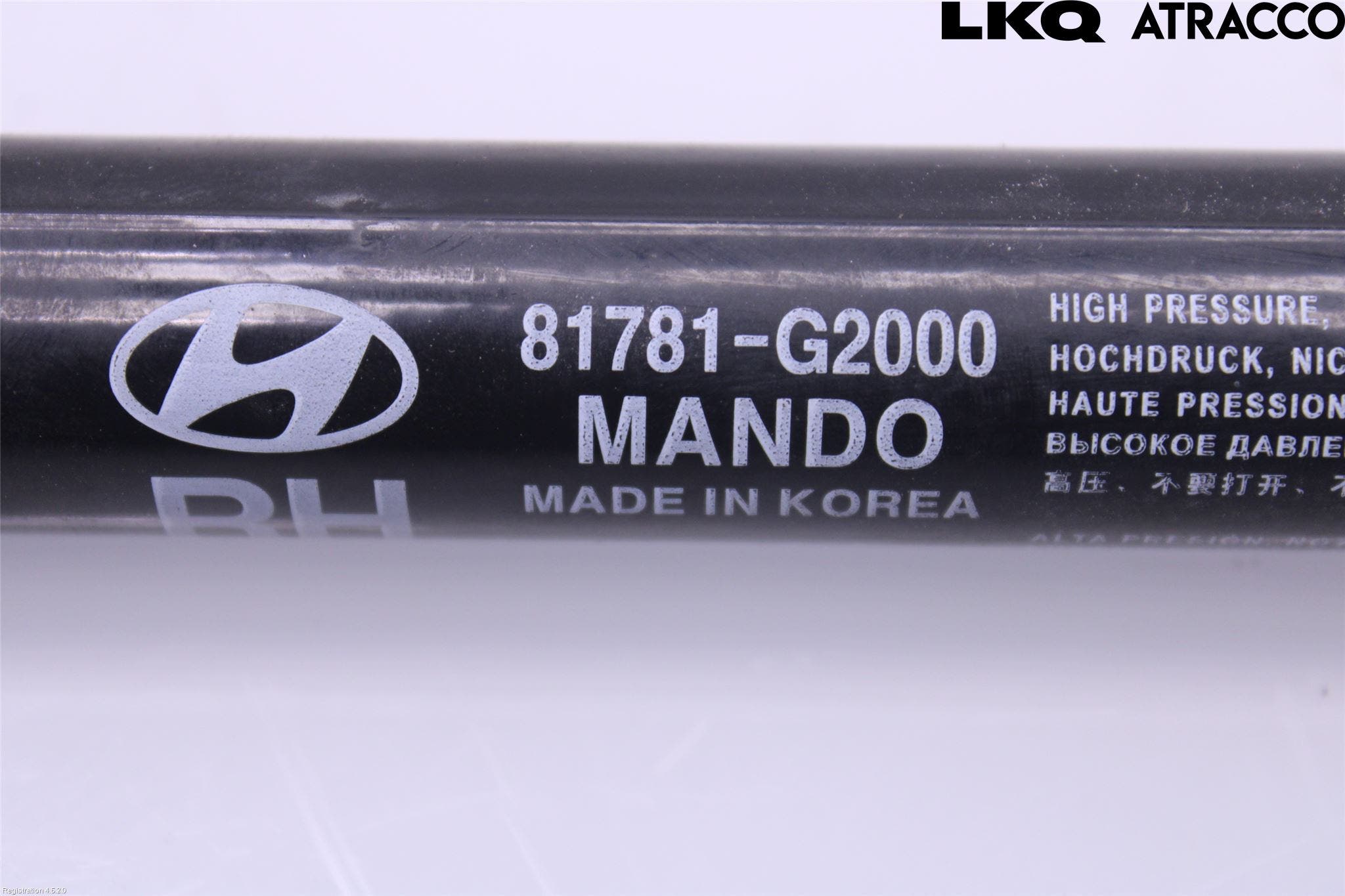 Hyundai IONIQ AE 17-22 Gasfjäder Baklucka