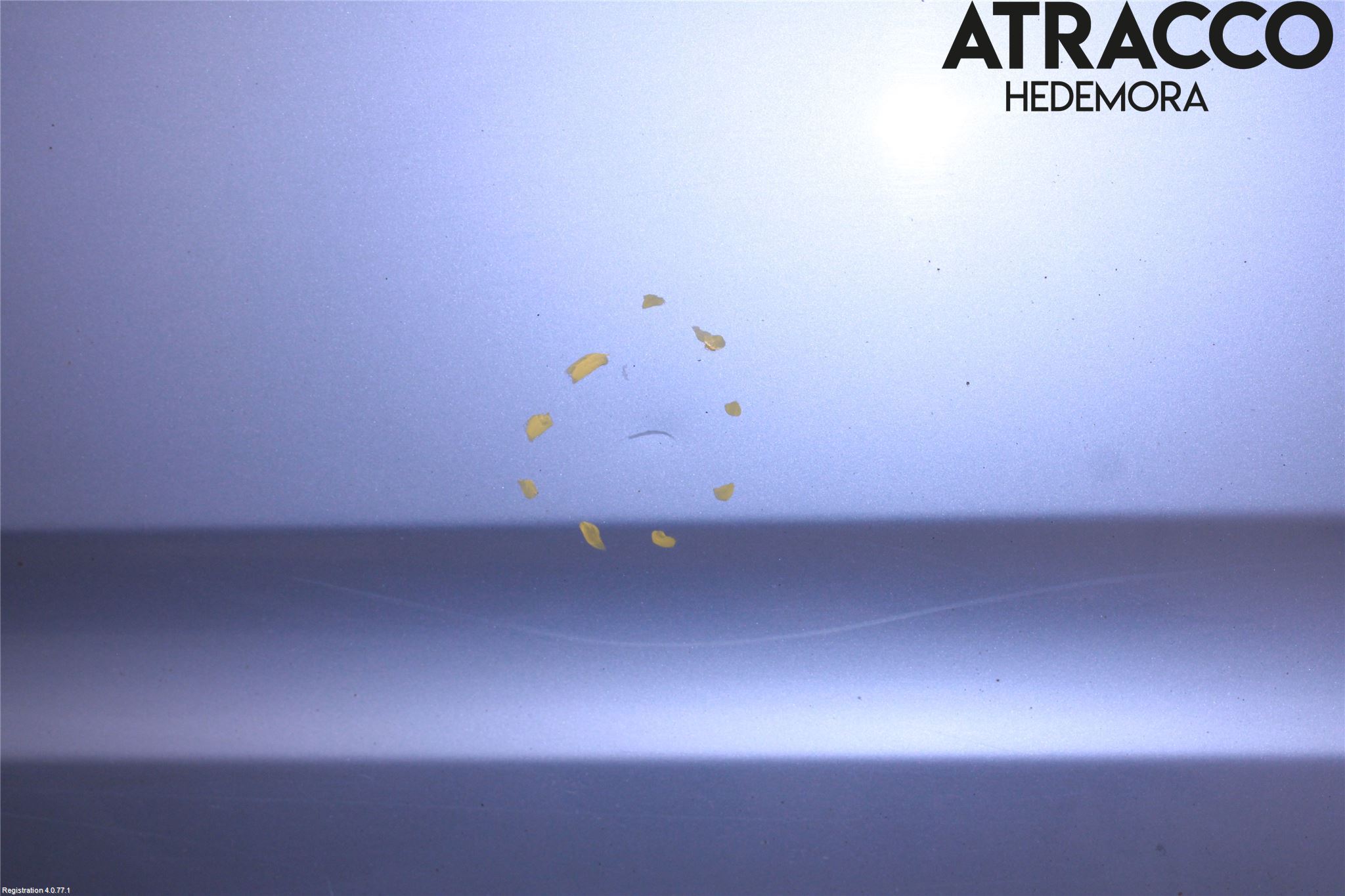 Nissan NAVARA 05-16 Dörr Bak Höger