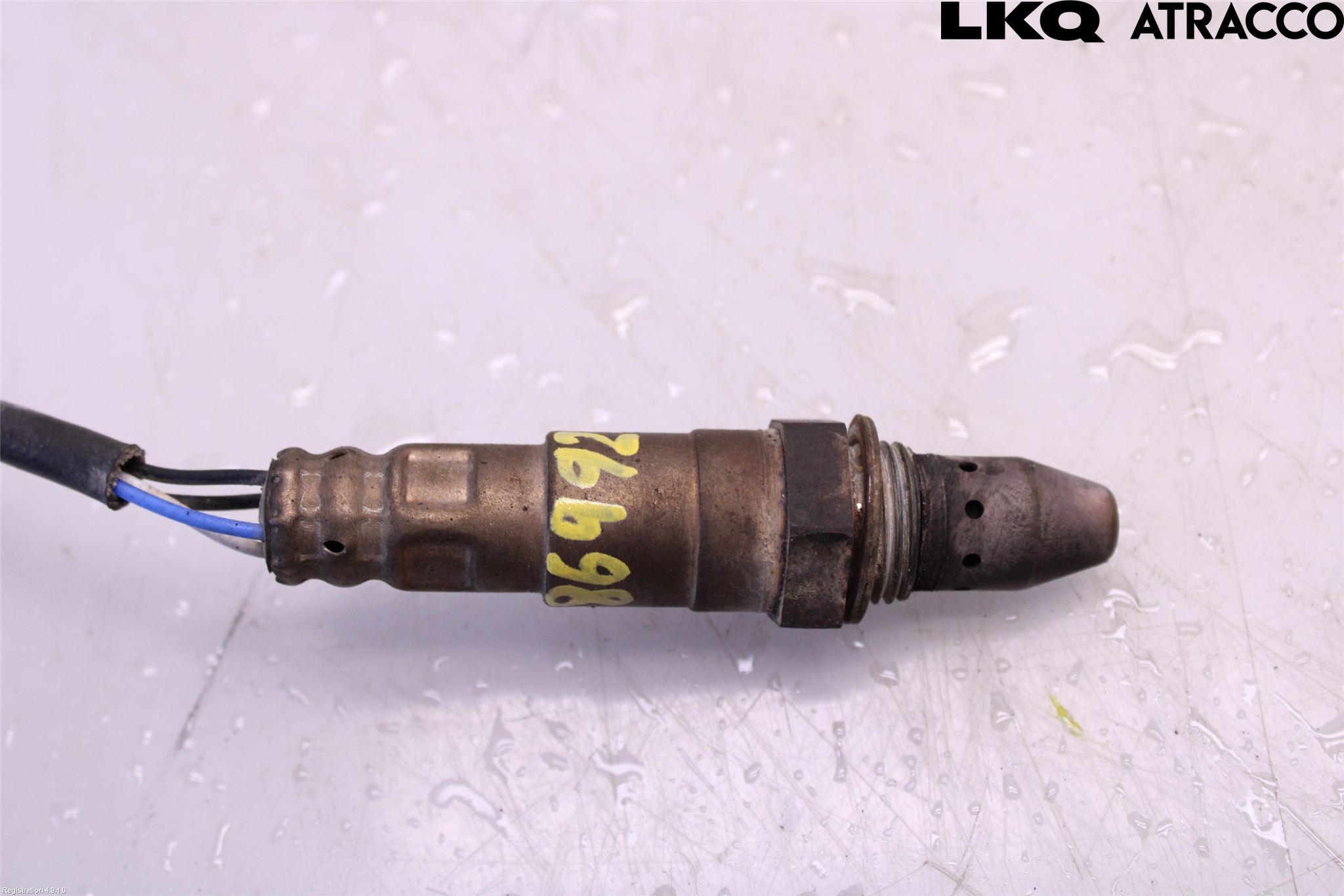 Renault ALASKAN 18-20 Injlambdasond