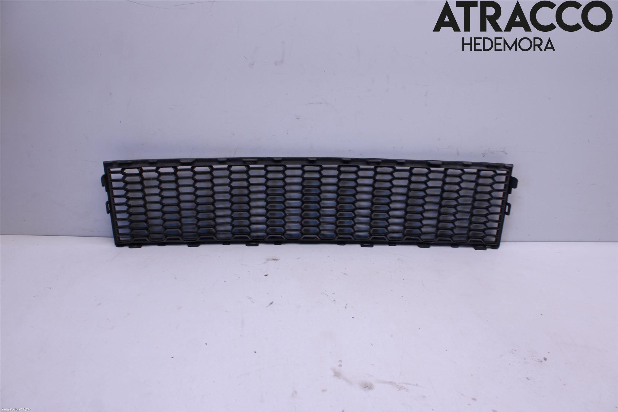 BMW 5 F10/F11/F18 09-17 Grill-Galler