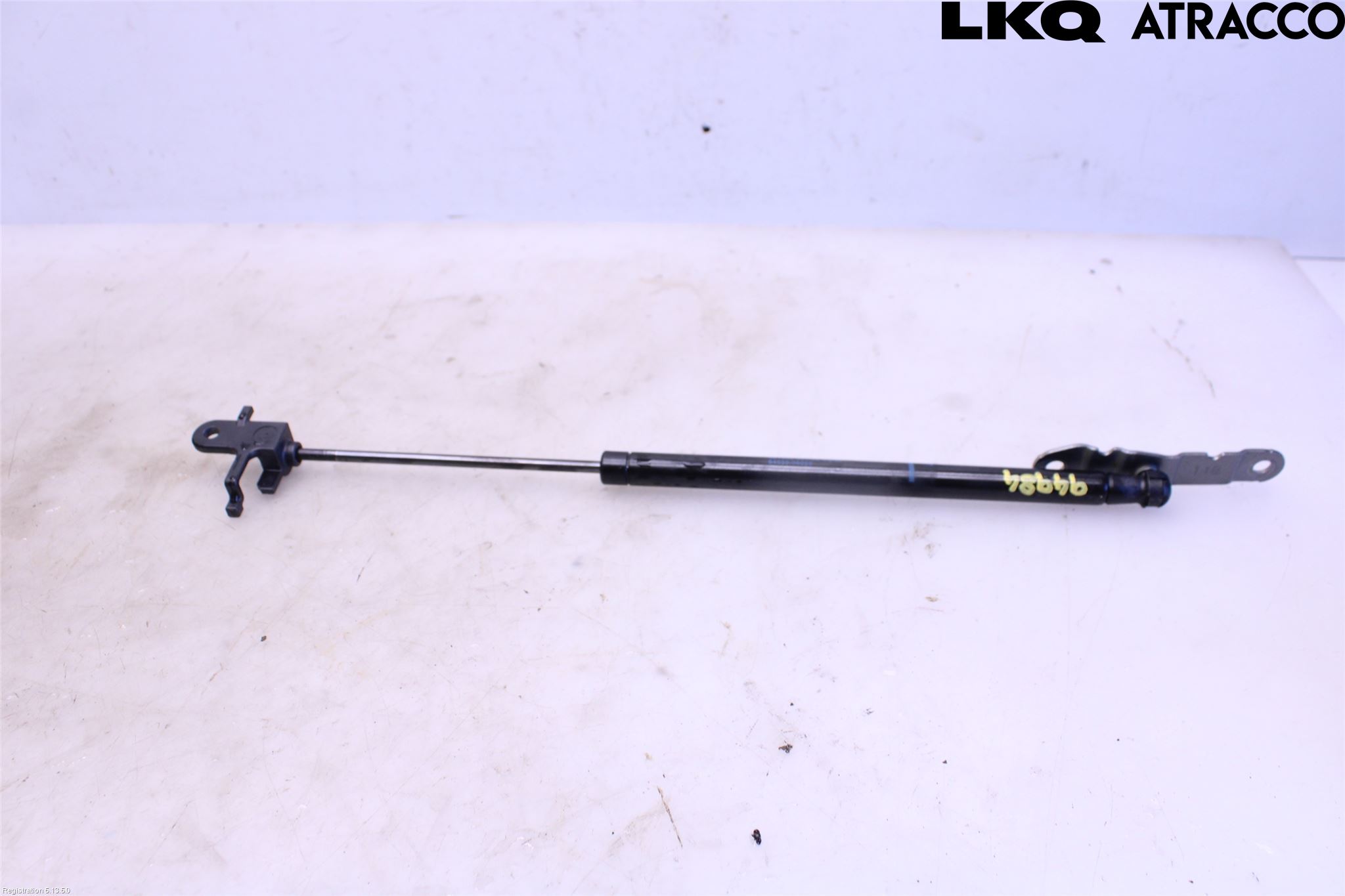 Toyota CAMRY 19-24 Gasfjäder Baklucka