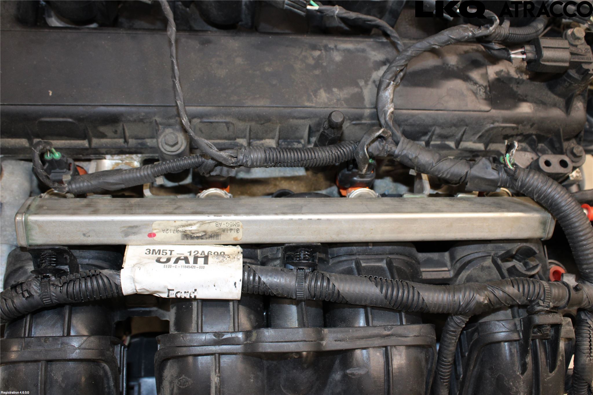 Ford FOCUS     04-07 Motor Bensin